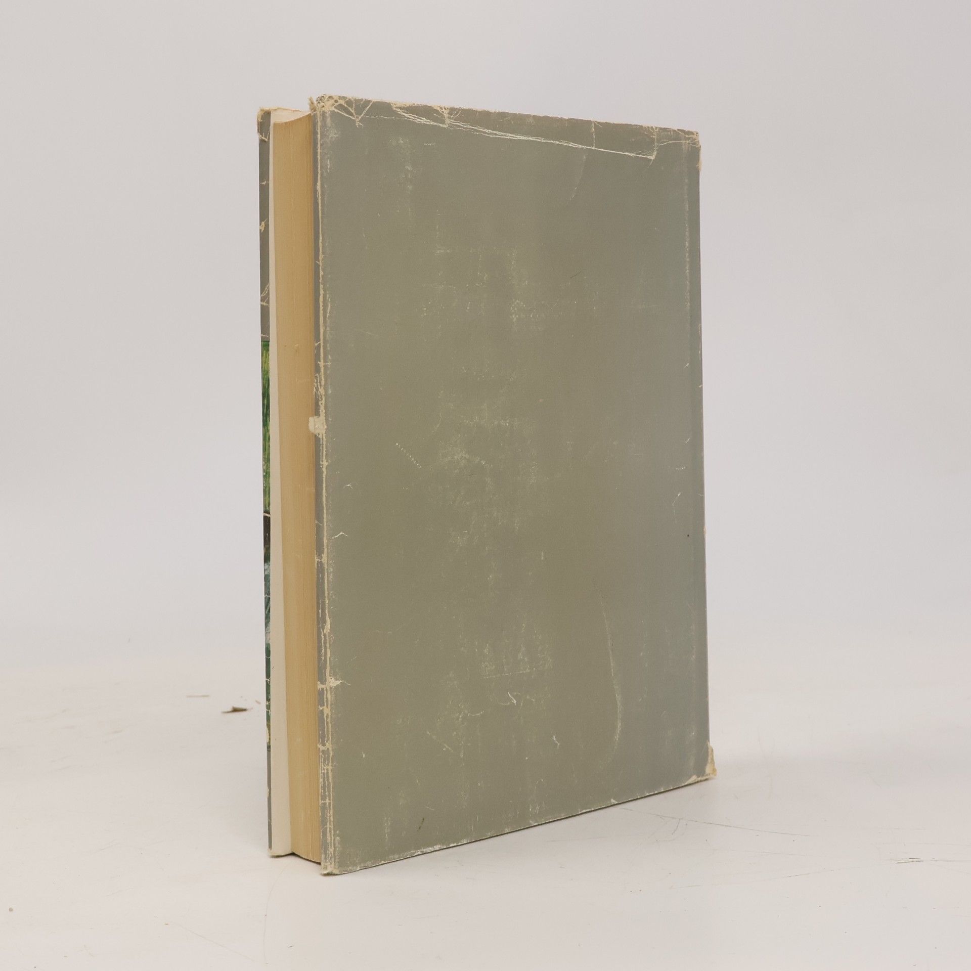 Jean Bouret Degas