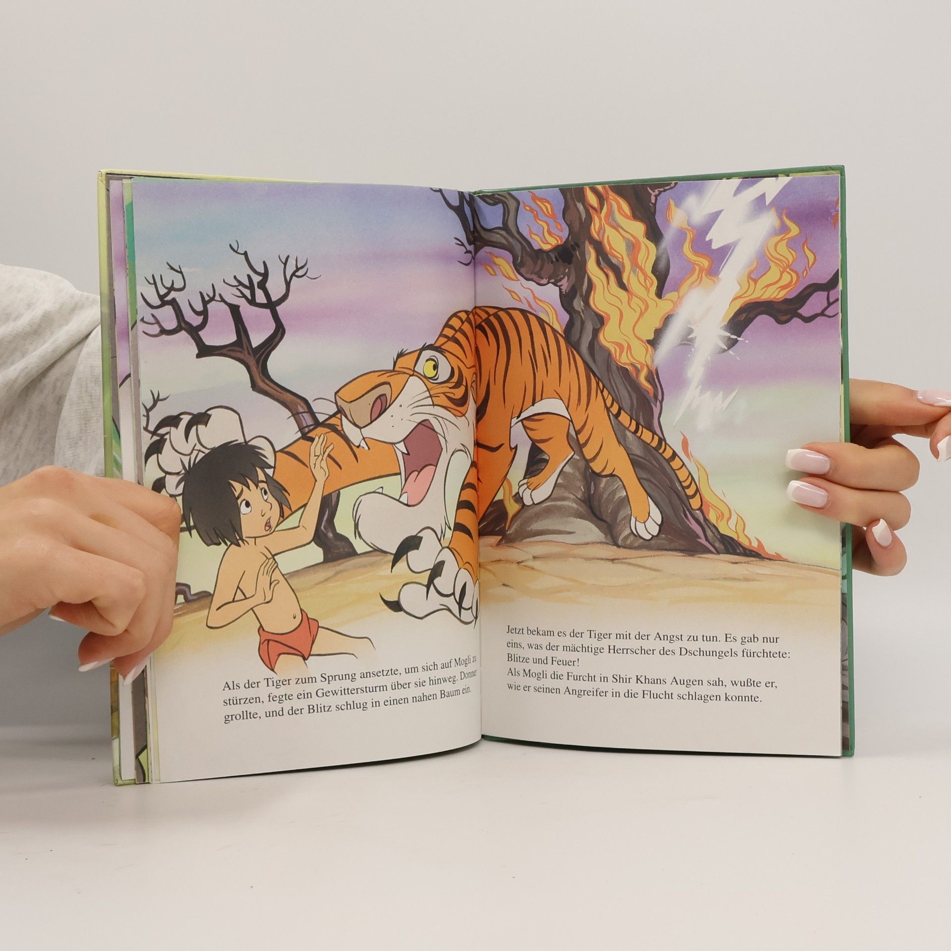 Autorenkollektiv Das Dschungelbuch