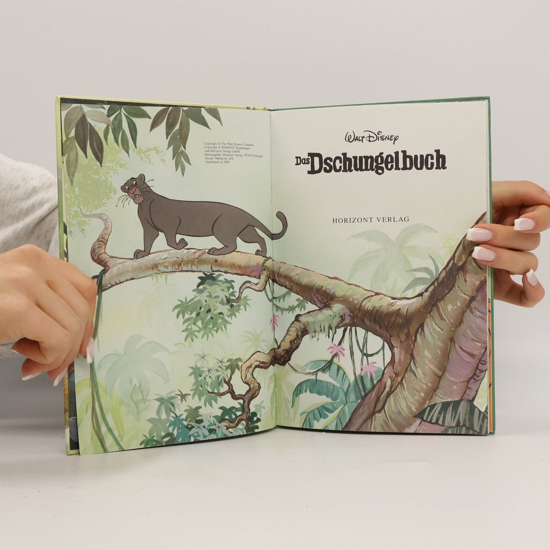 Autorenkollektiv Das Dschungelbuch