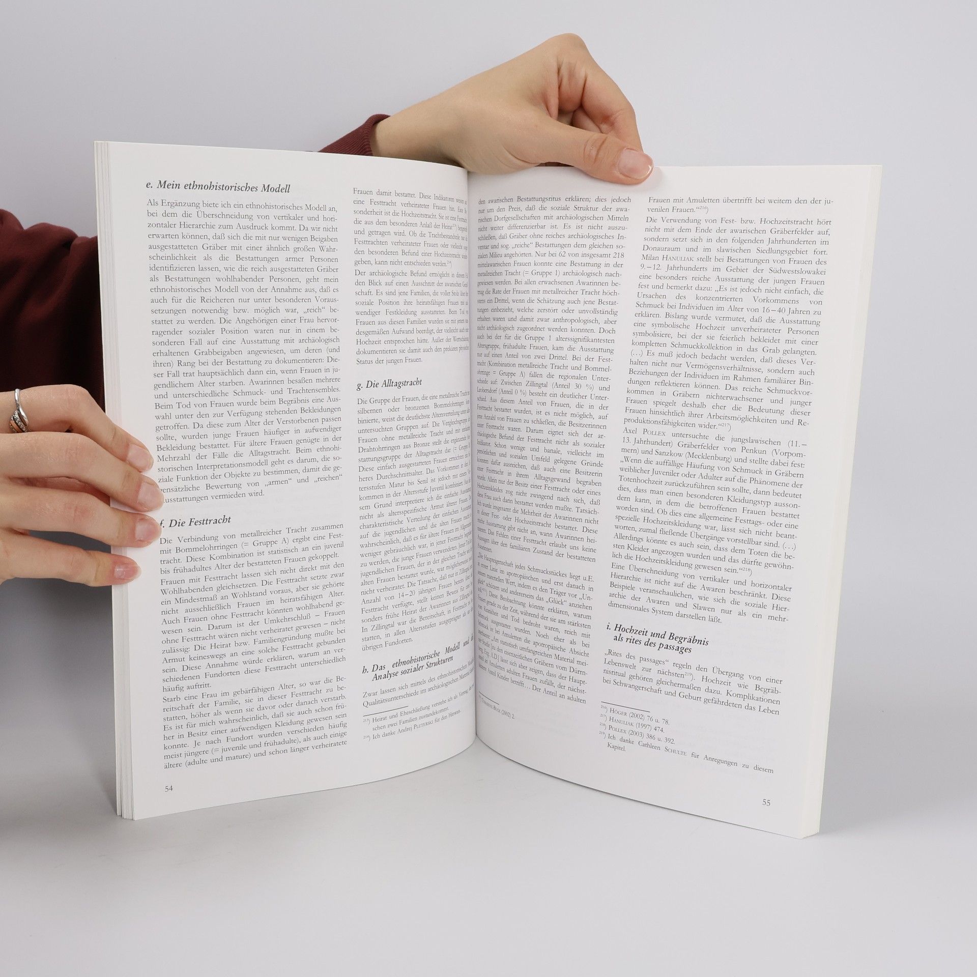 Anton Distelberger Archäologische Forschungen in Niederösterreich, Band 3