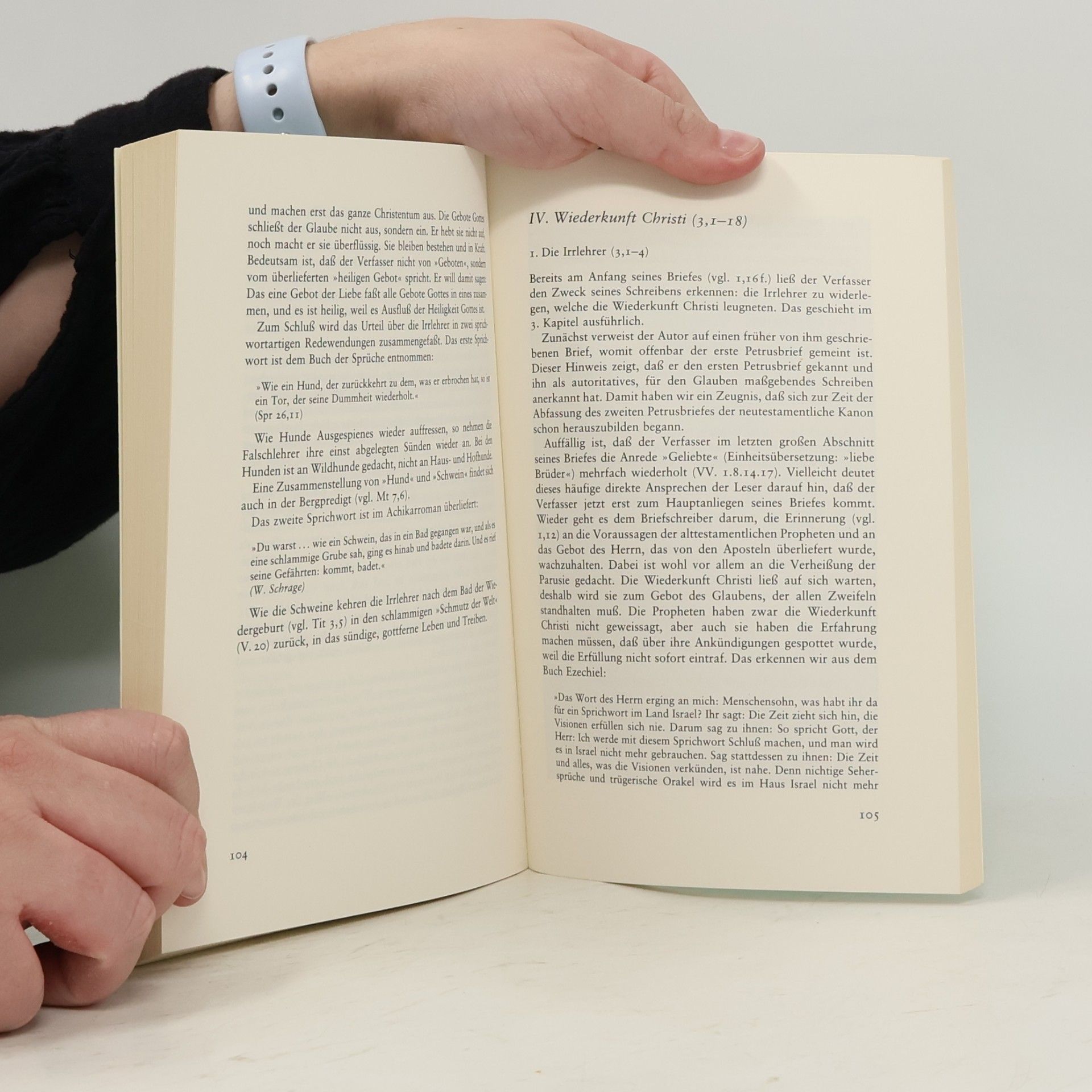Paula Angelika Seethaler Stuttgarter Kleiner Kommentar: Neues Testament - 16: Erster und 2. Petrusbrief; Judasbrief