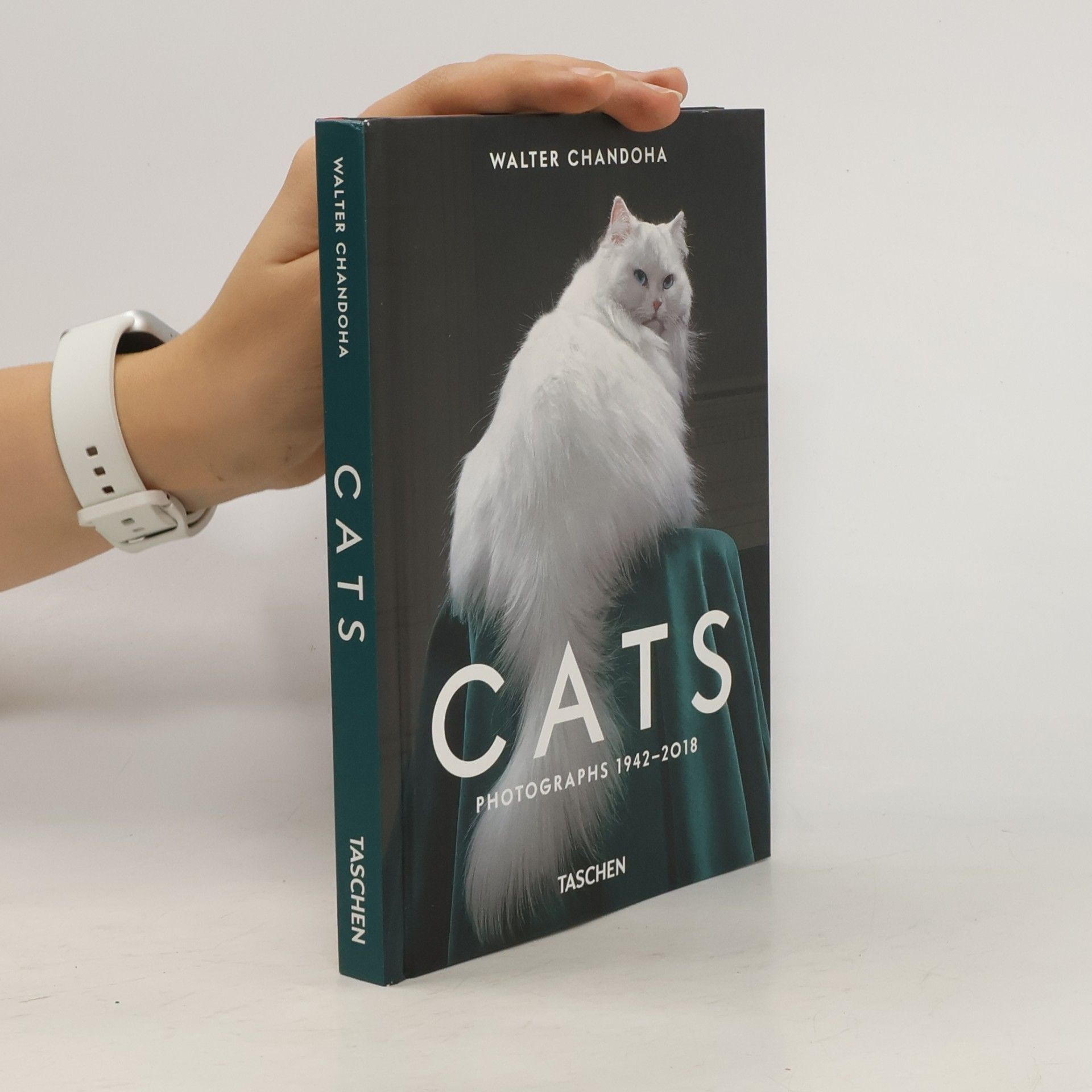 Susan Michals Cats
