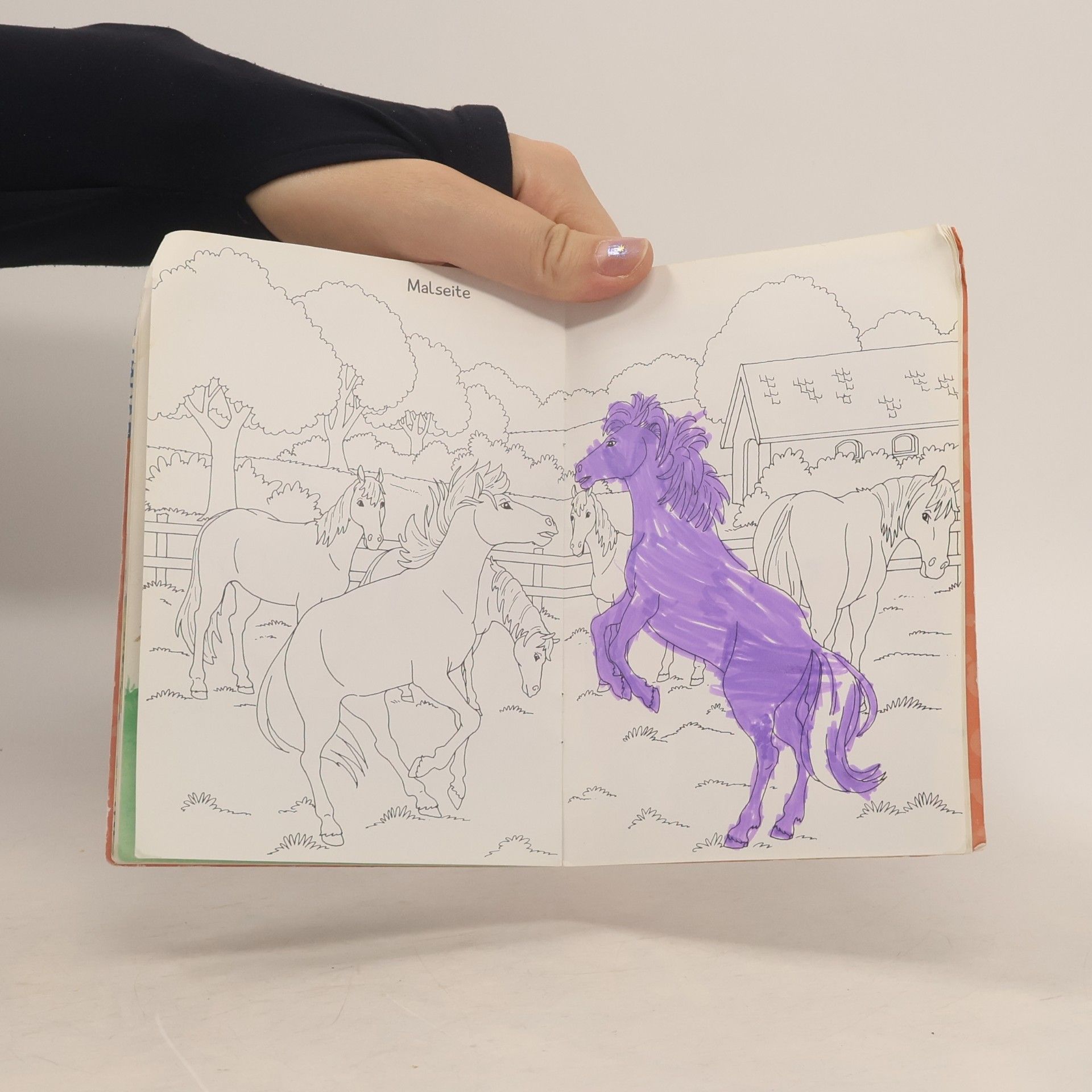 Irmgard Eberhard Pferde und Ponys