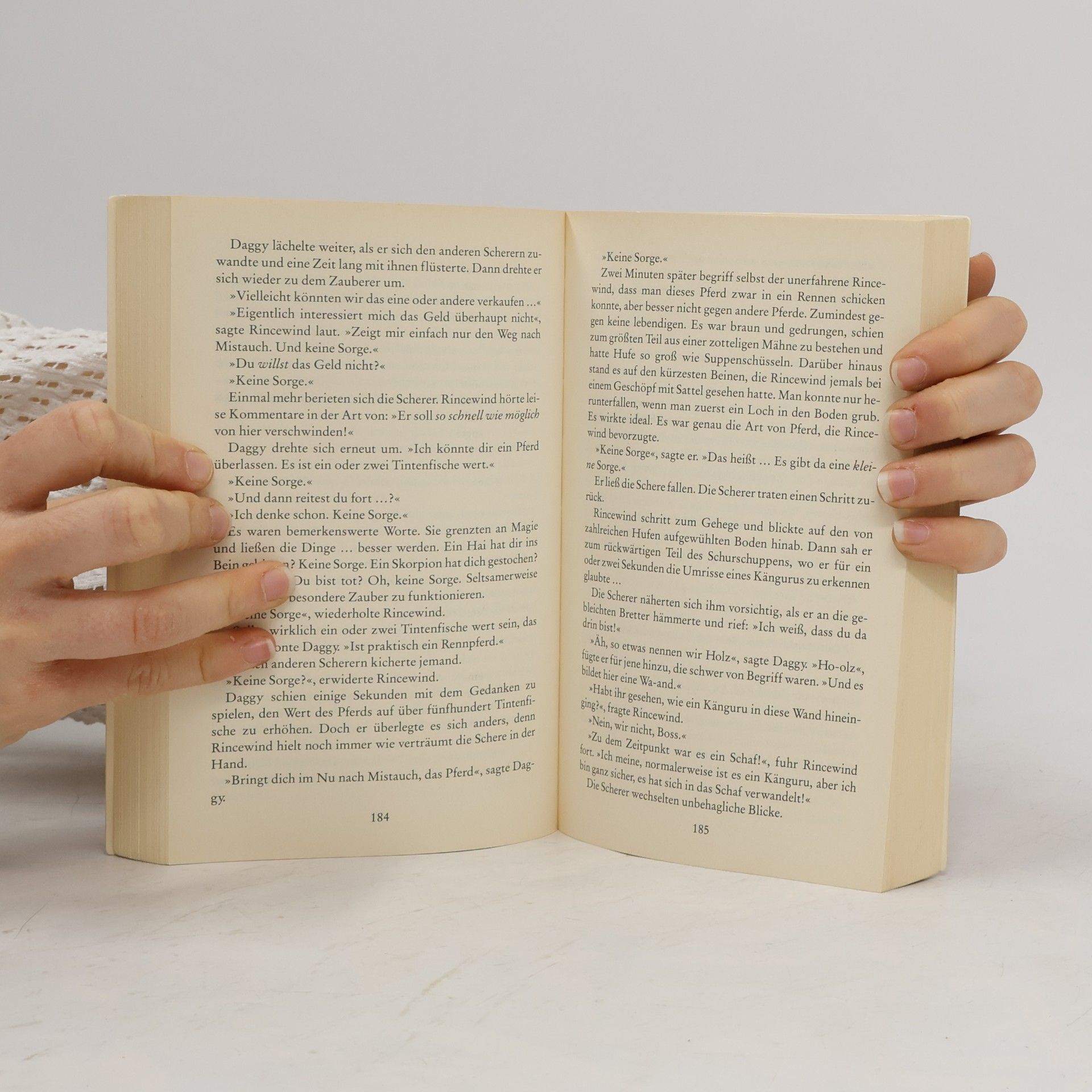 Terry Pratchett Heiße Hüpfer