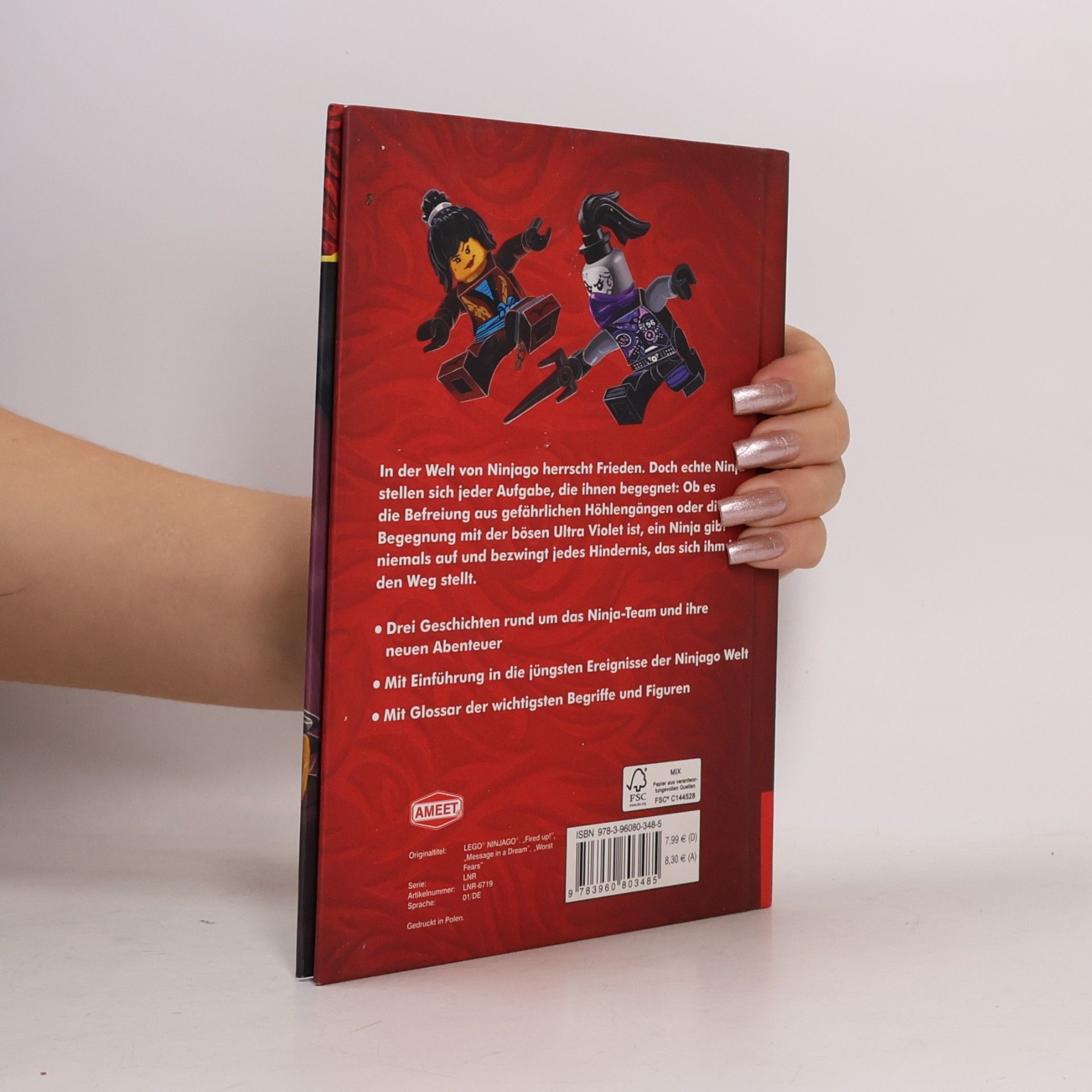 Meredith Rusu LEGO NINJAGO LEGACY - die Stärke der Ninja