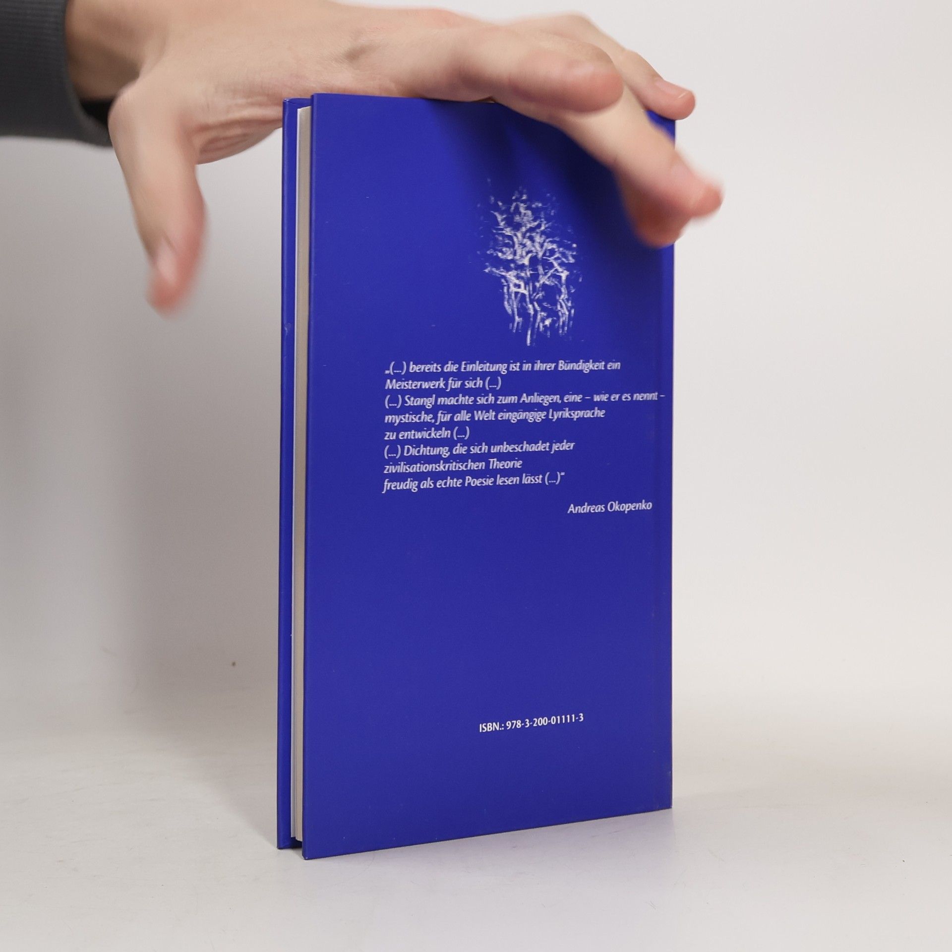 Manfred Stangl Gesang des blauen Augenvogels