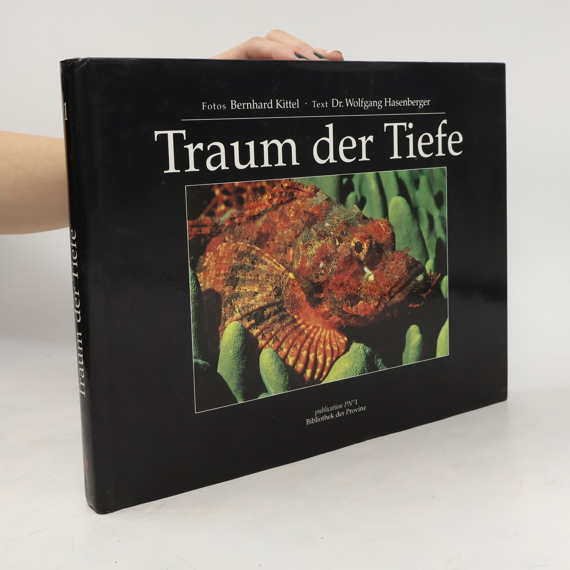 Kolektiv autorů Traum der Tiefe