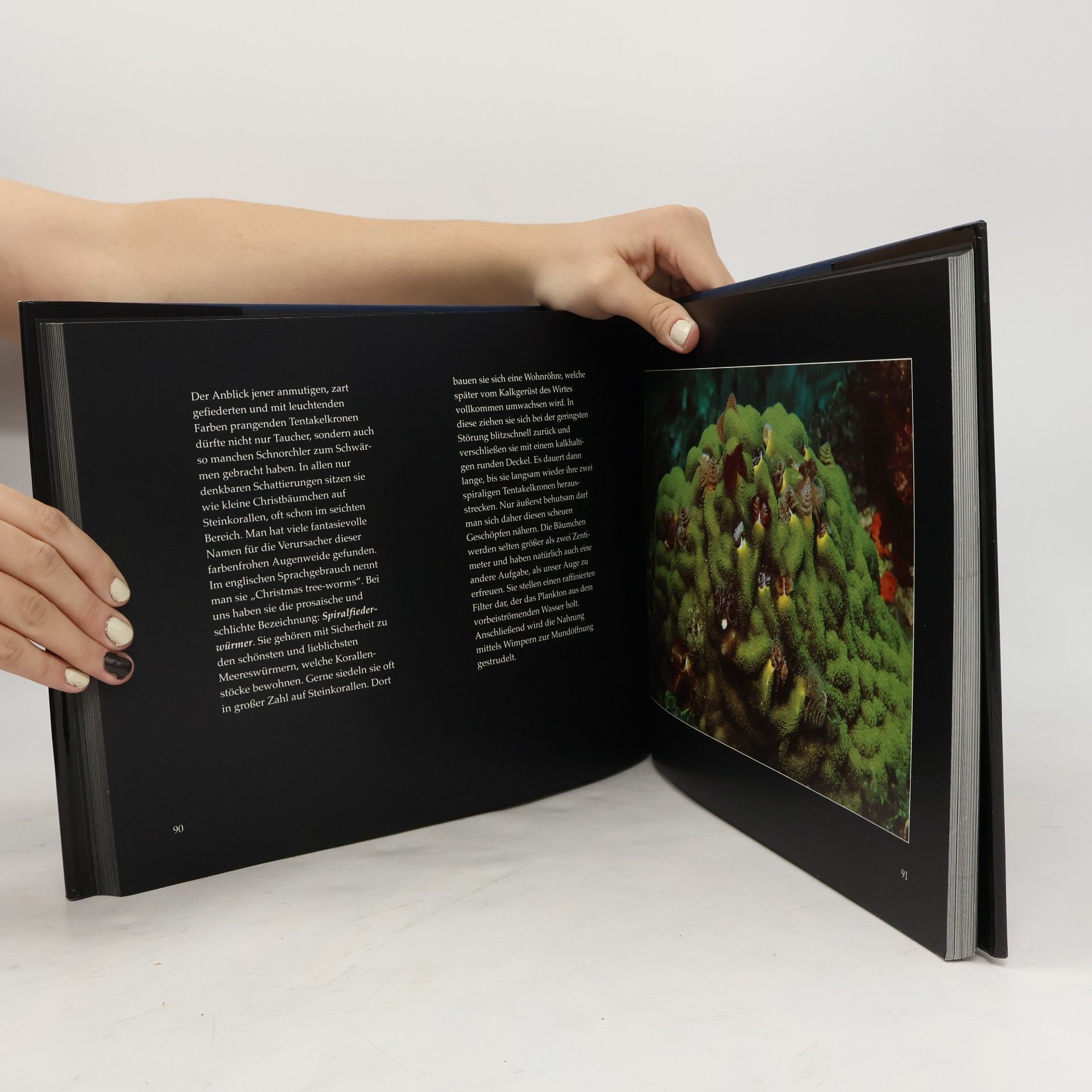 Various authors Traum der Tiefe
