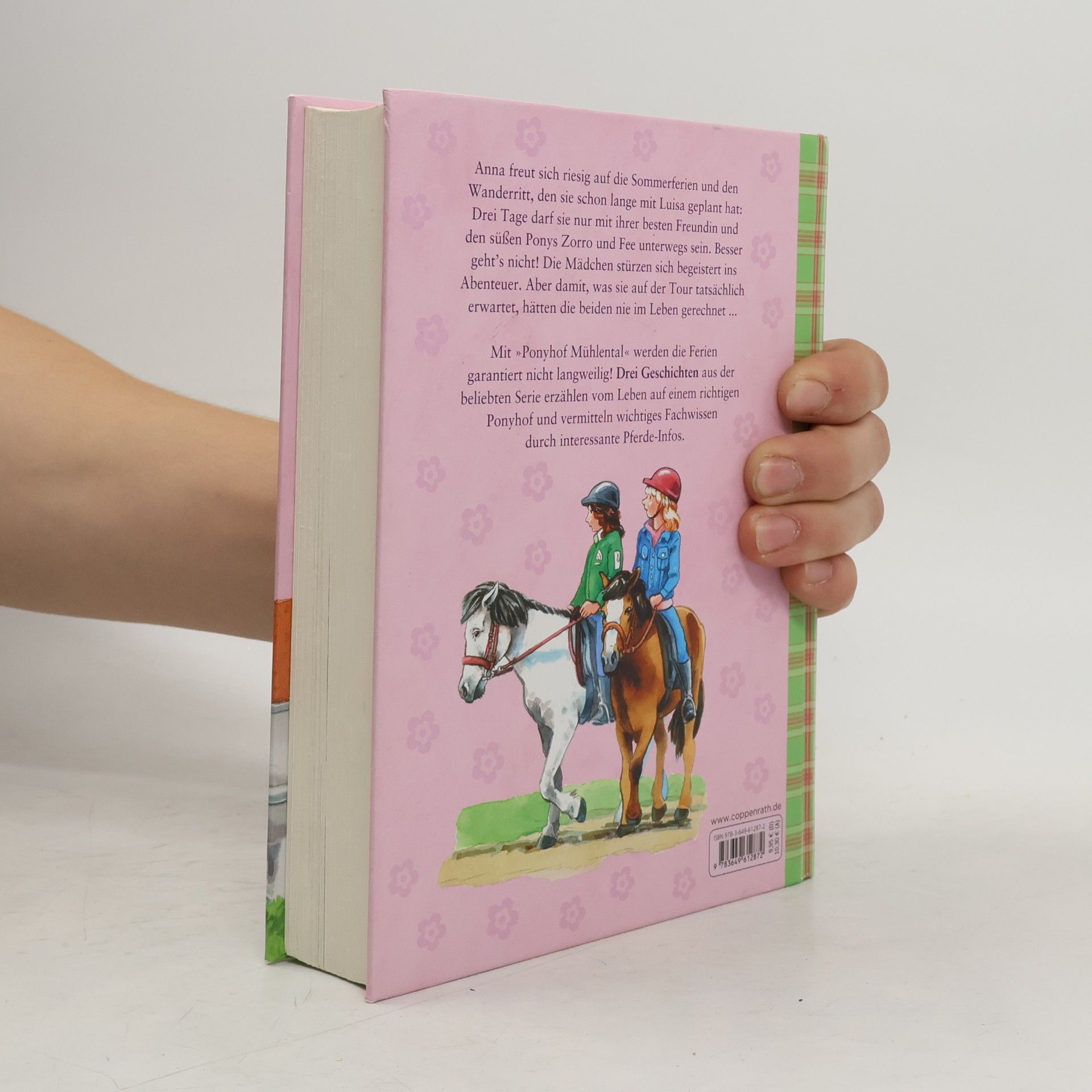 Sarah Bosse Sommergeschichten vom Ponyhof Mühlental