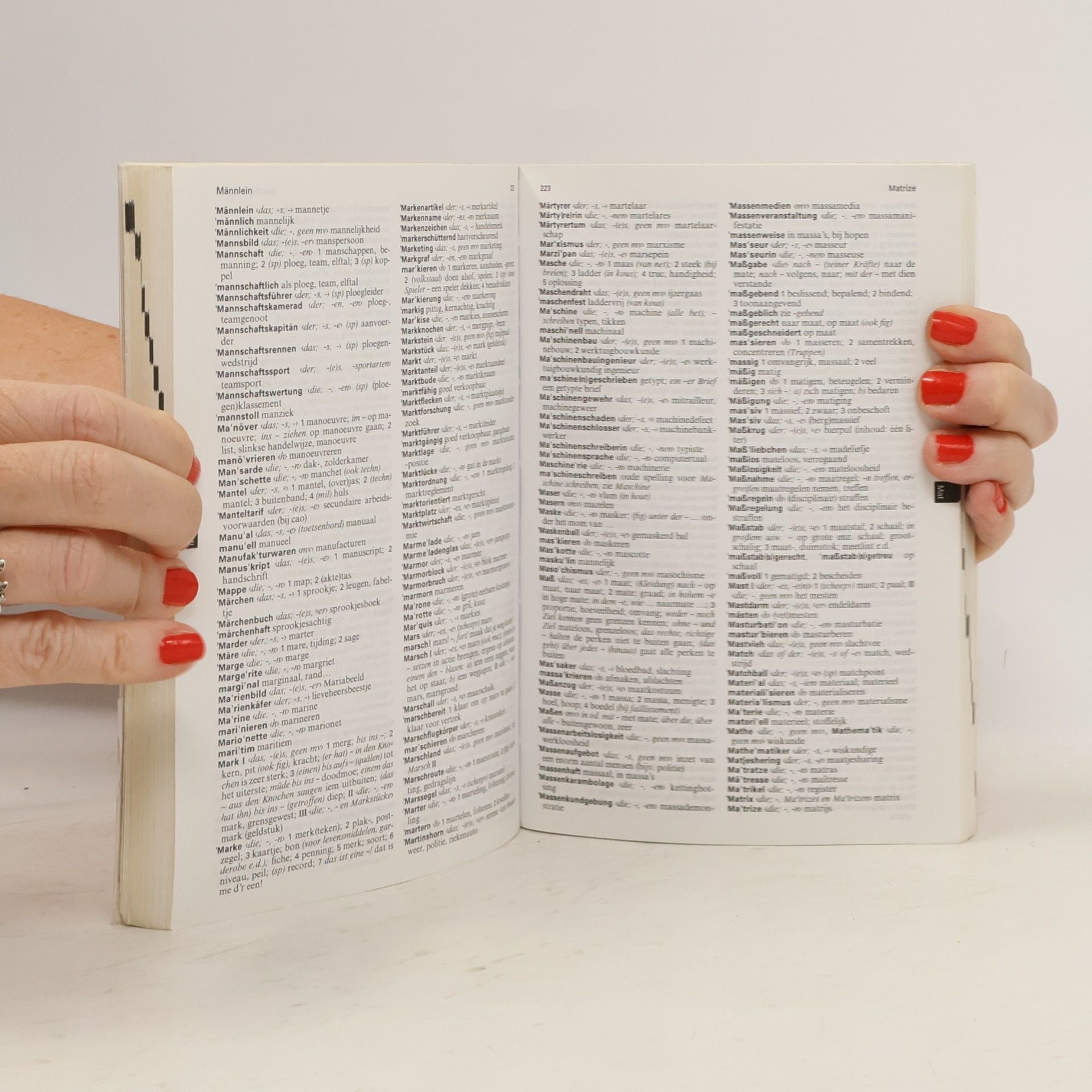 F. R. Boschvogel Wolter's ster woordenboek Duits-Nederlands
