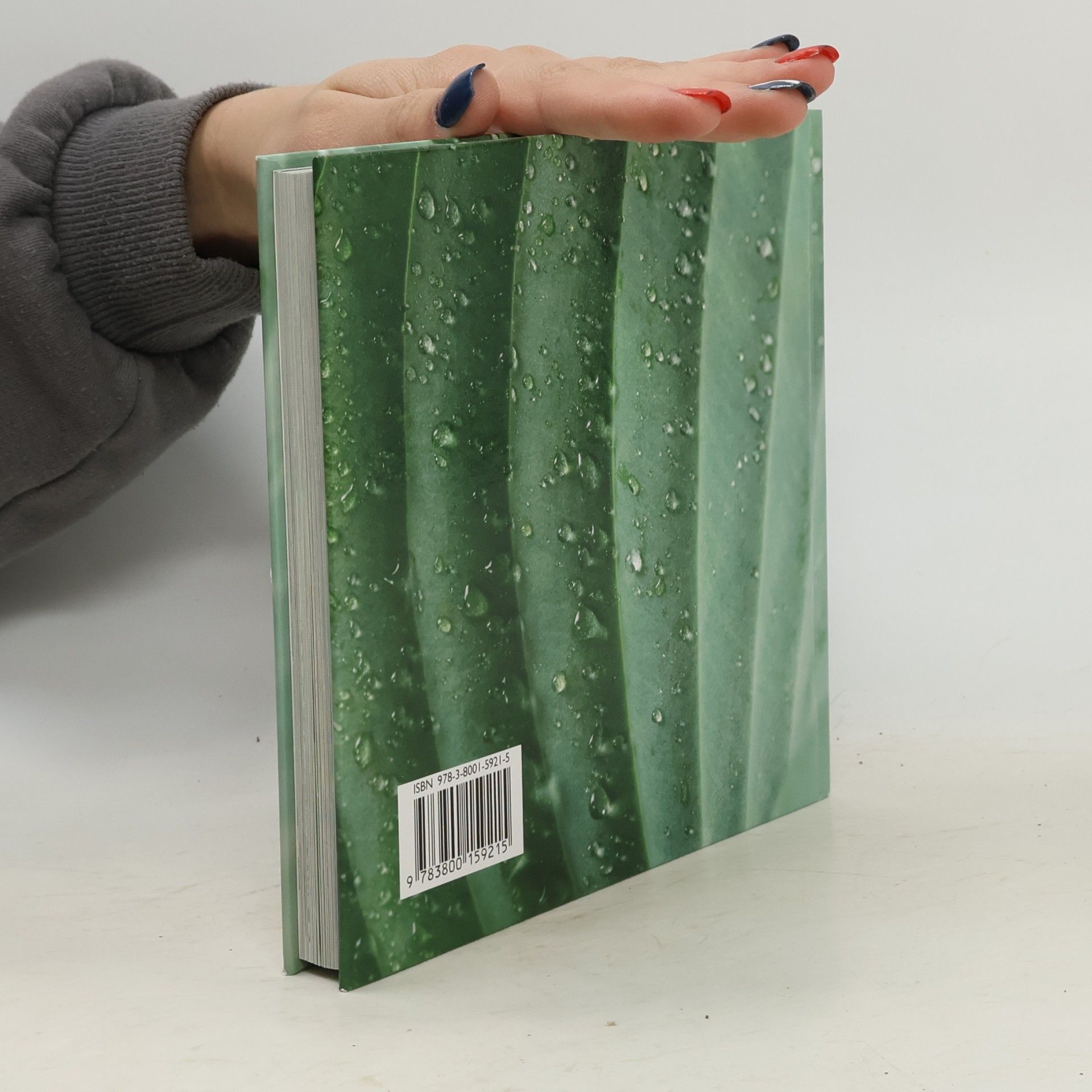 BLOOM'S by Ulmer: BlattSchönheiten Geburtstagskalender