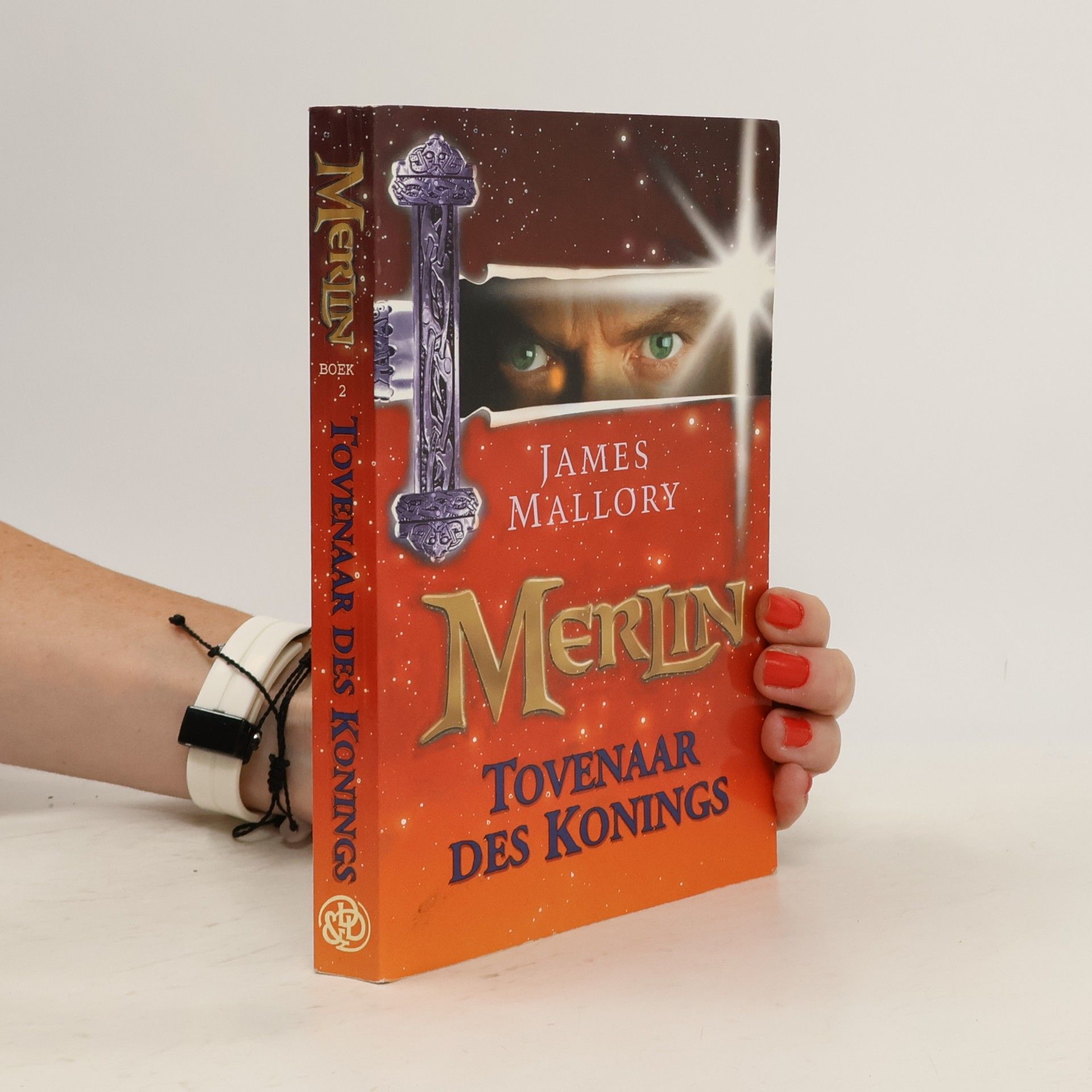 Tovenaar des konings (Merlin, 2)