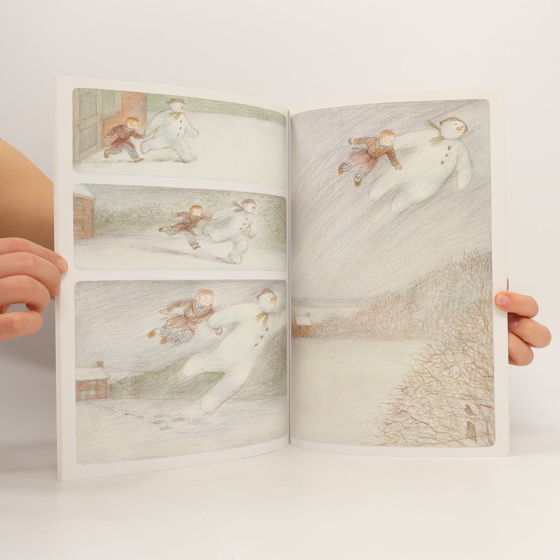 Raymond Briggs The Snowman