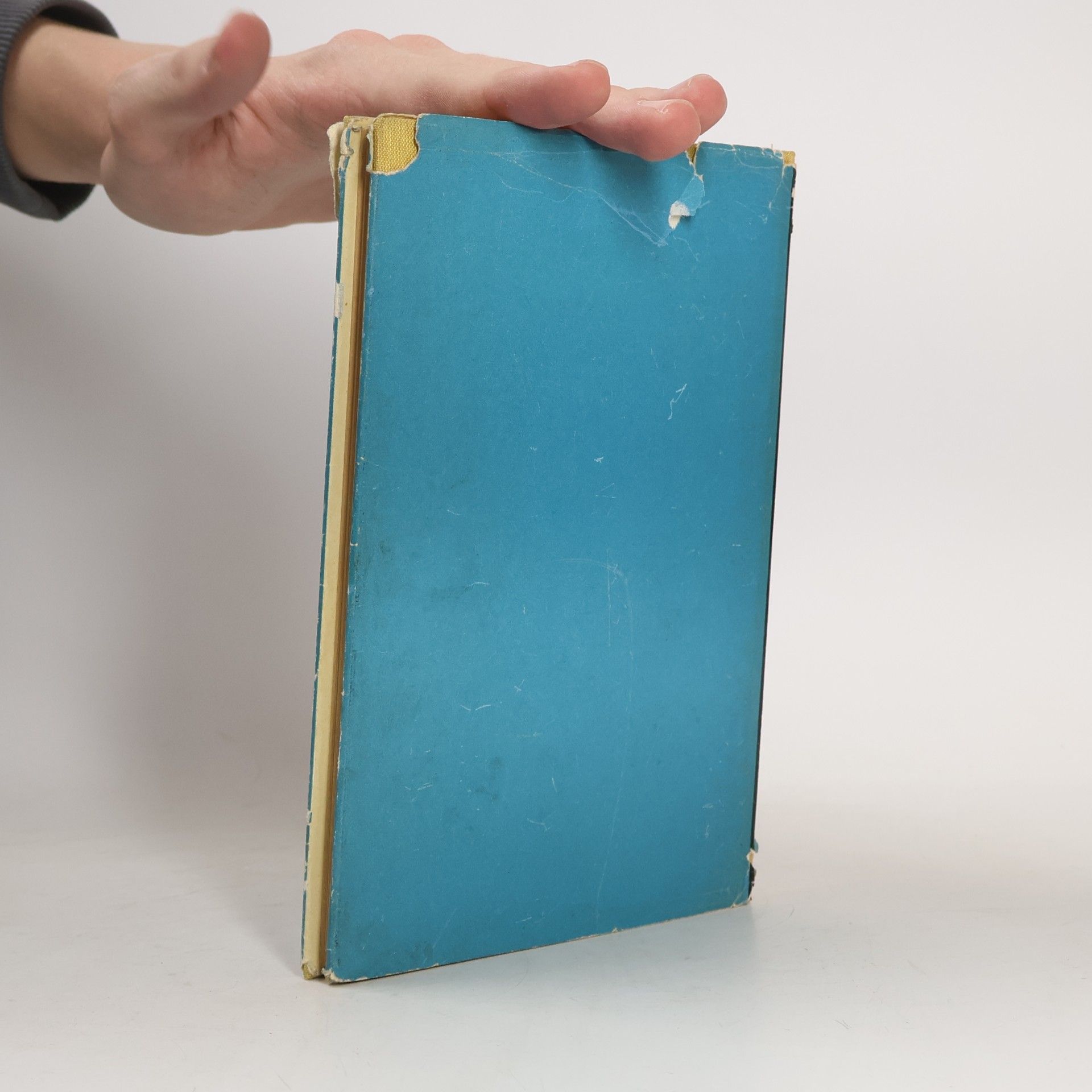 Ina Seidel Das wunderbare Geissleinbuch