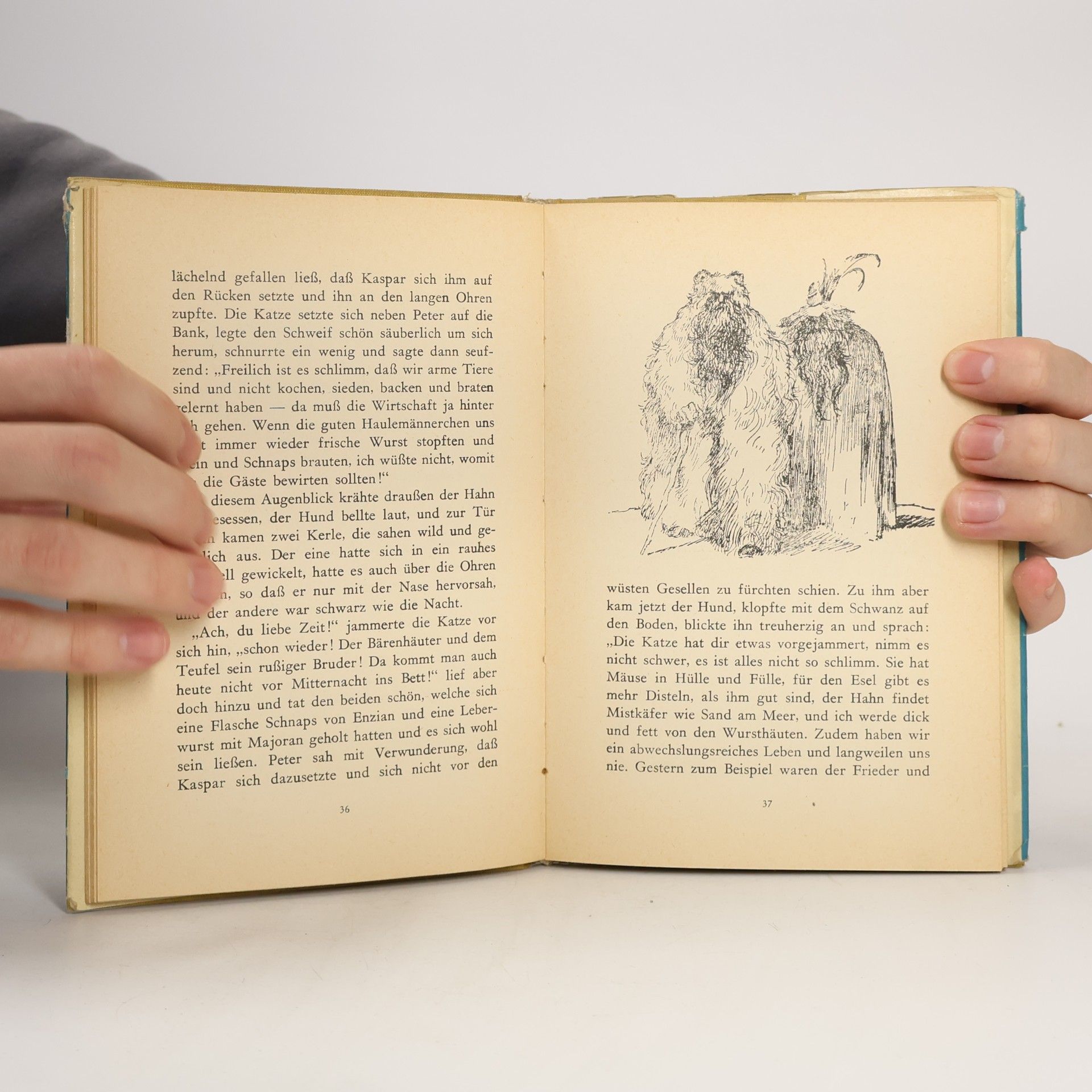Ina Seidel Das wunderbare Geissleinbuch