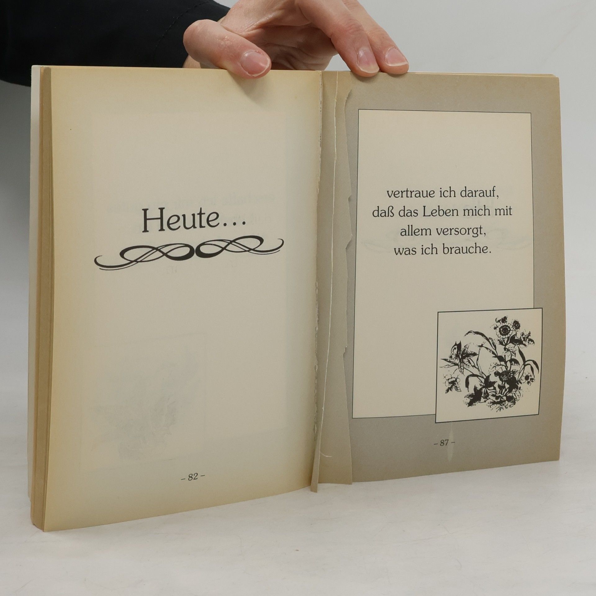 Lousie L. Hay Liebe das Leben wie dich selbst