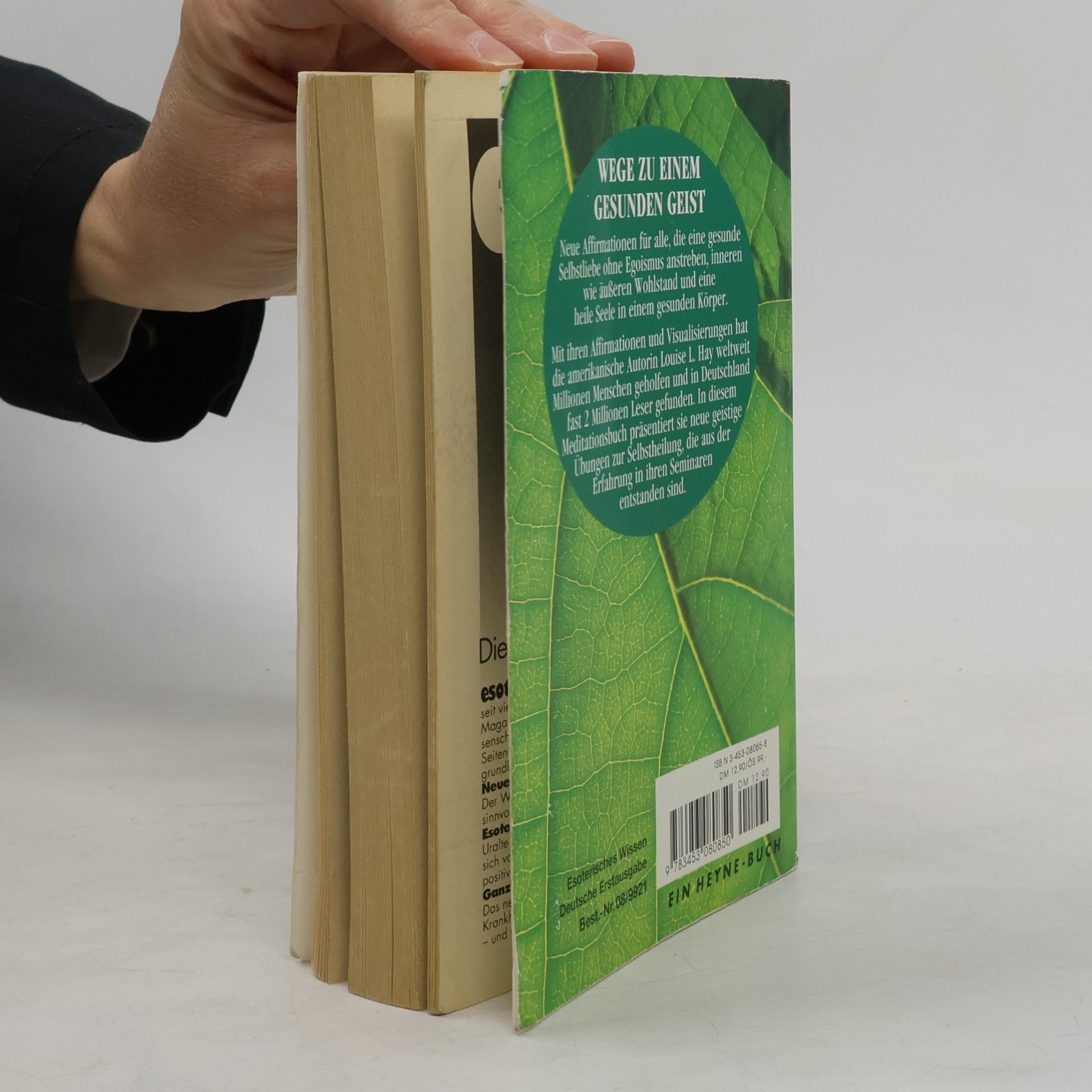 Lousie L. Hay Liebe das Leben wie dich selbst