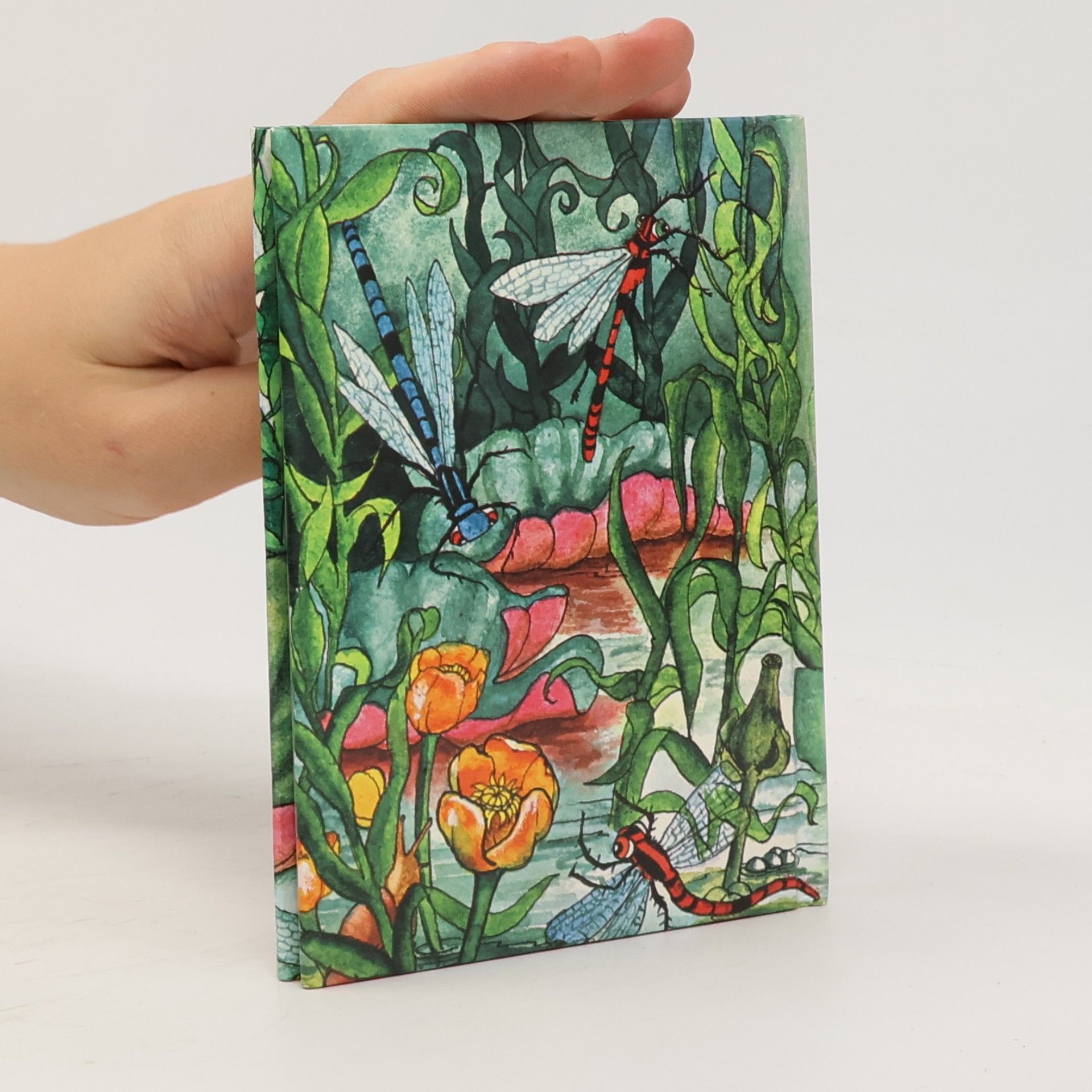 Ruth Thomson Die Geschichte von Fritz, dem Frosch