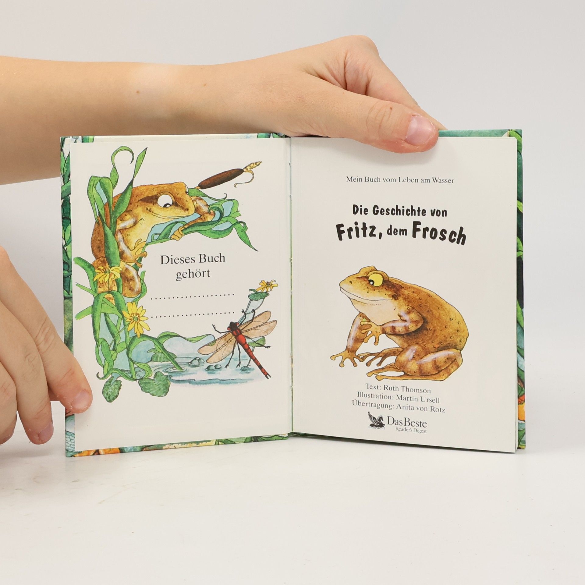 Ruth Thomson Die Geschichte von Fritz, dem Frosch