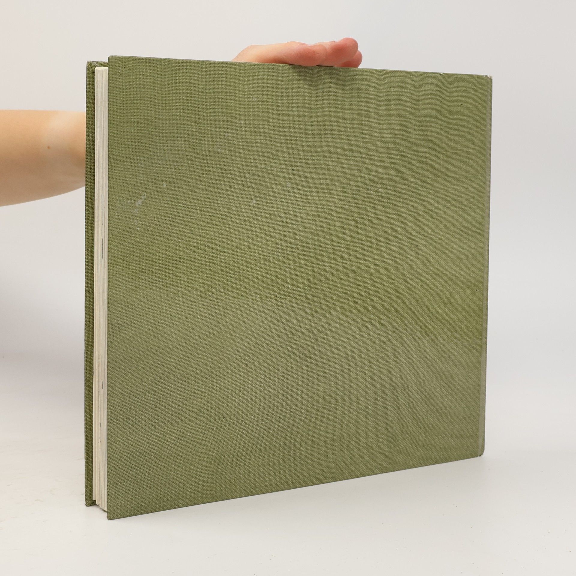 Ike Rosen Sticken modern
