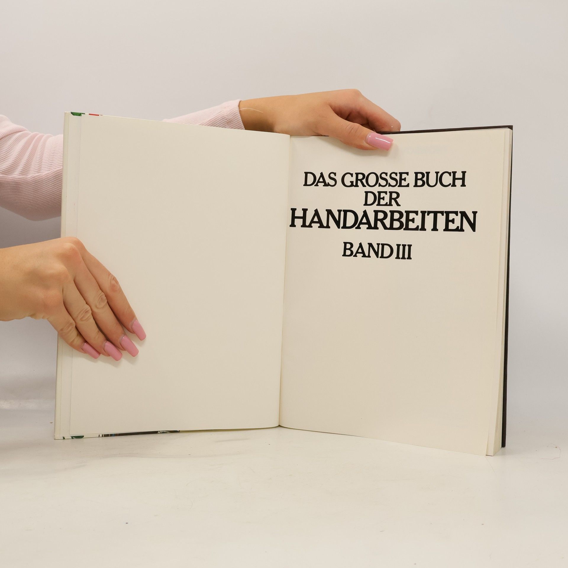 Collectif d'auteurs Das große Buch der Handarbeiten III