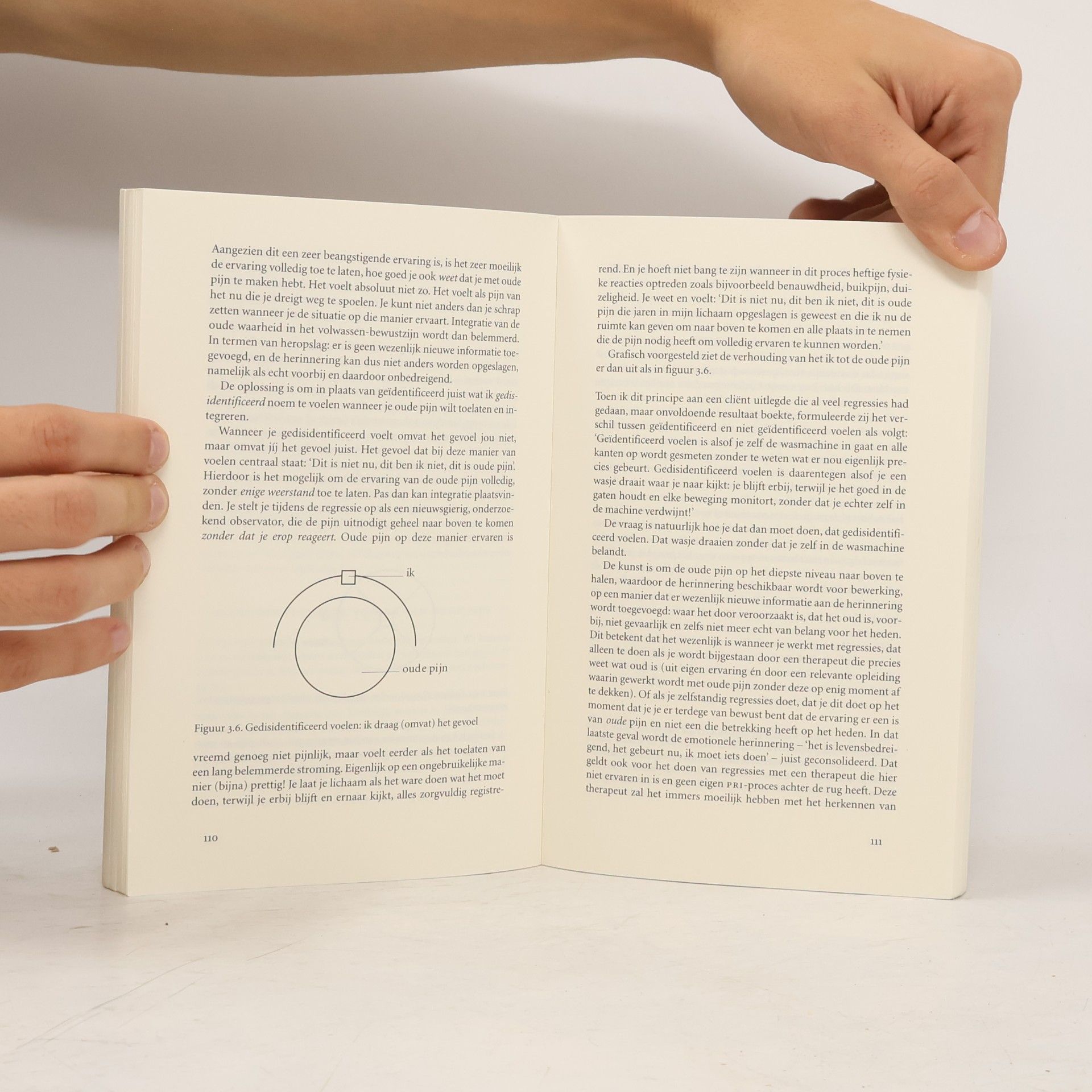 Ingeborg Bosch Illusies