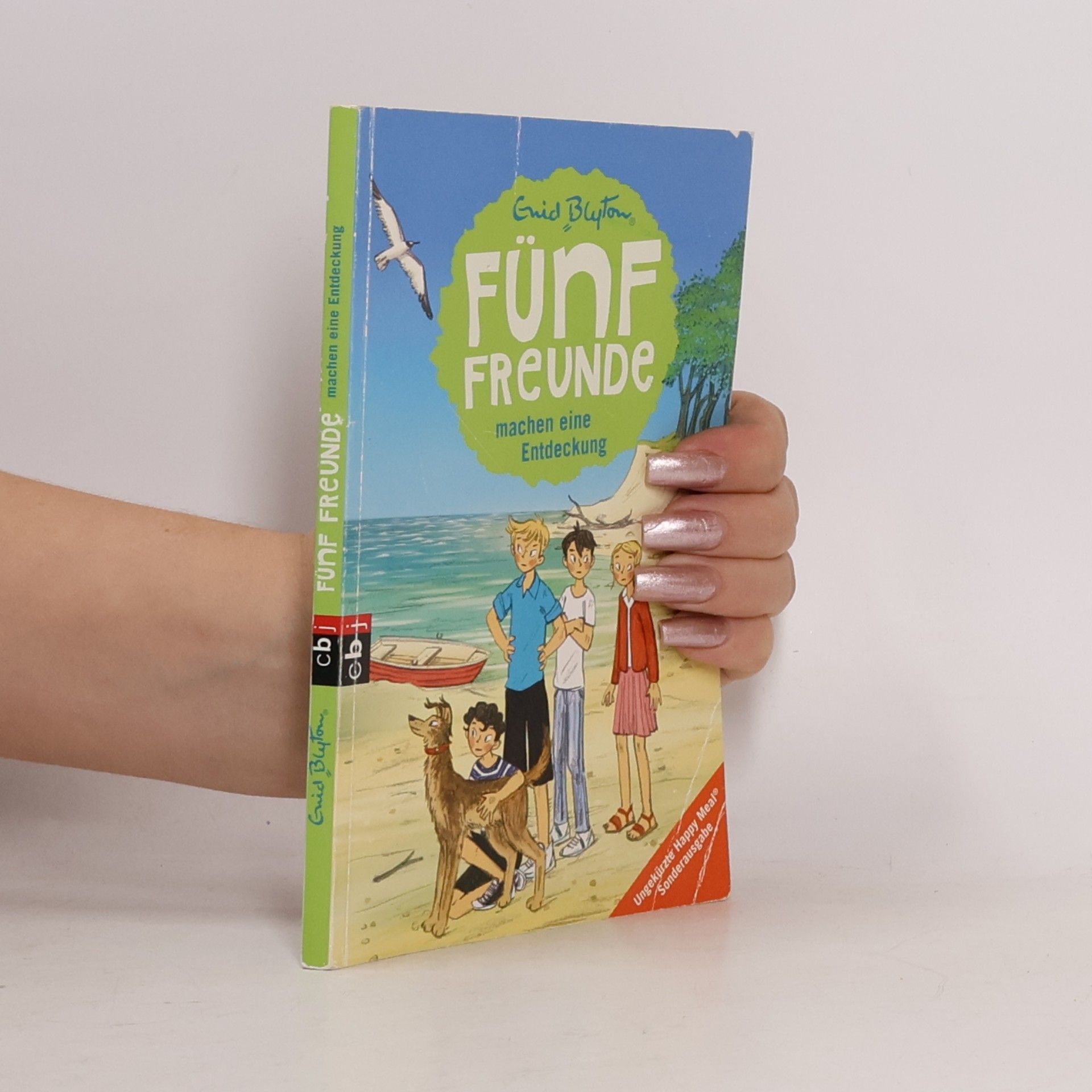 Enid Blyton Fünf Freunde machen eine Entdeckung