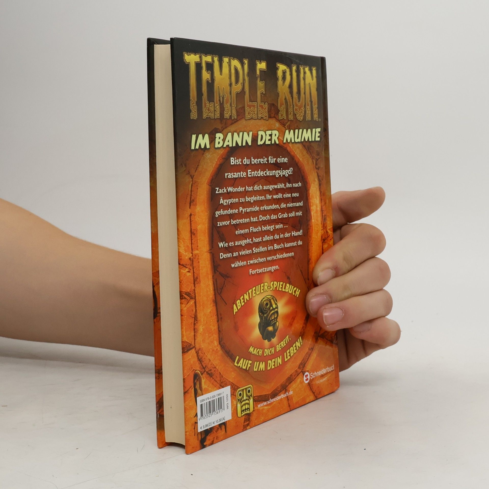 Chase Wilder Temple Run - Lauf um dein Leben! Im Bann der Mumie