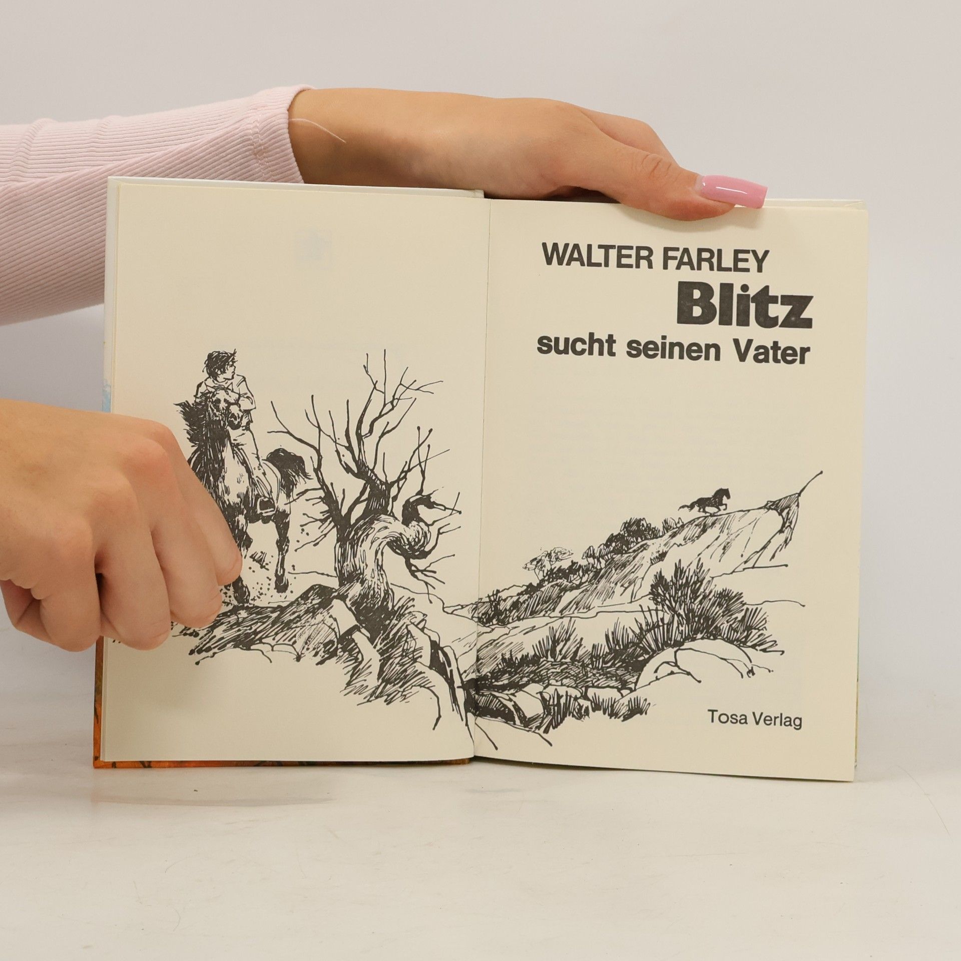 Walter Farley Blitz sucht seinen Vater