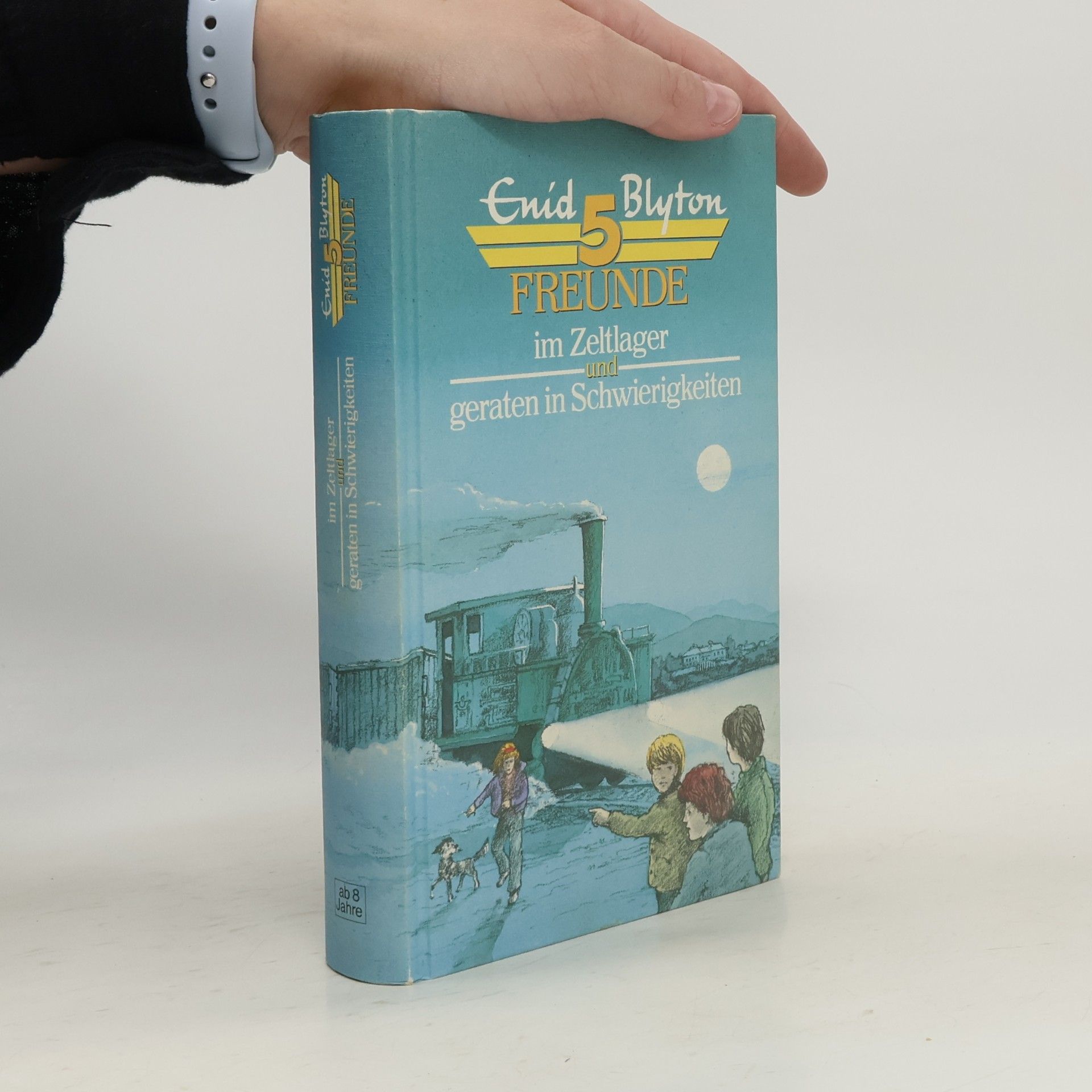 Enid Blyton 5 Freunde im Zeltlager und geraten in Schwierigkeiten