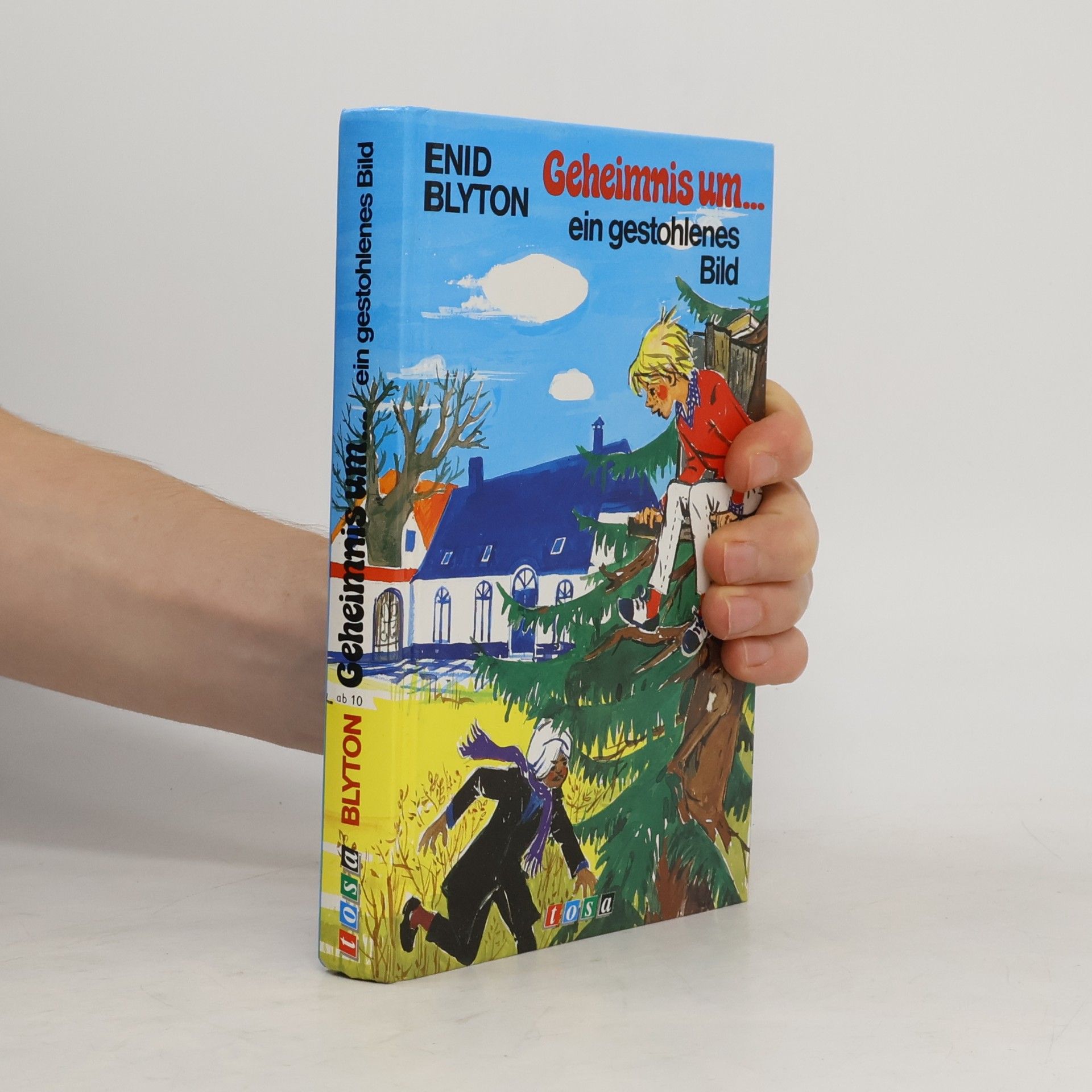 Enid Blyton Geheimnis um ein gestohlenes Bild