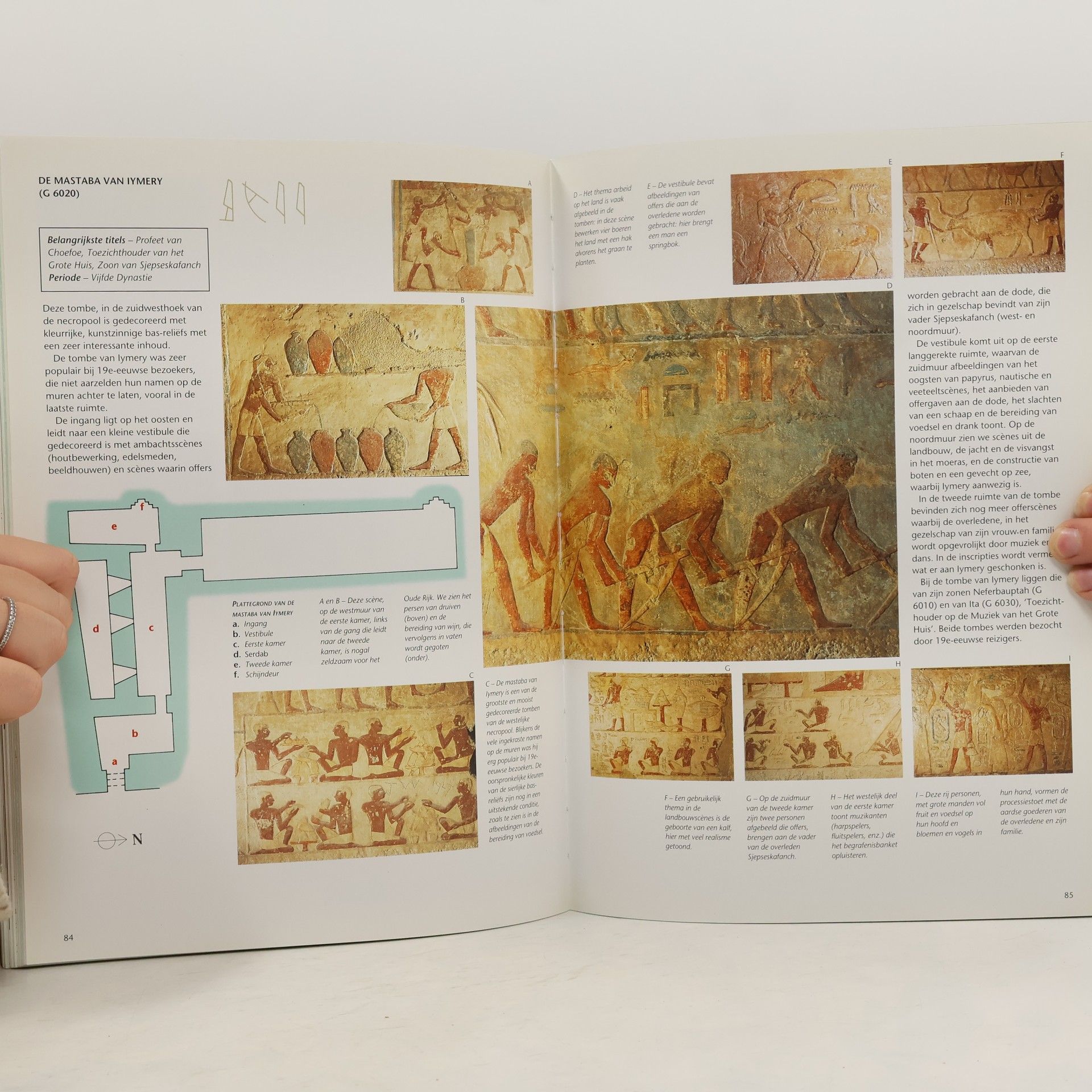 Unknown Author De piramiden van Egypte