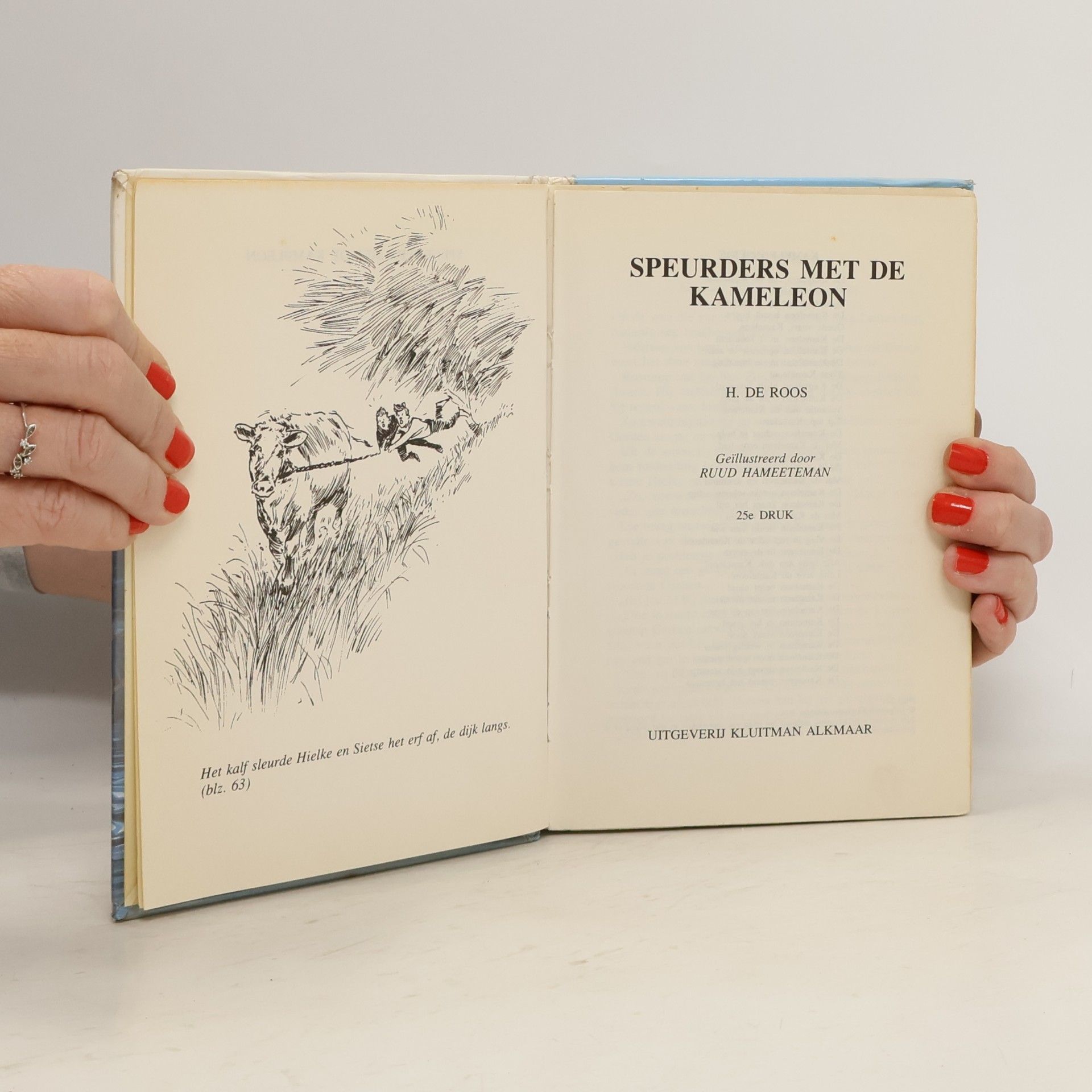H. de Roos Speurders met de Kameleon