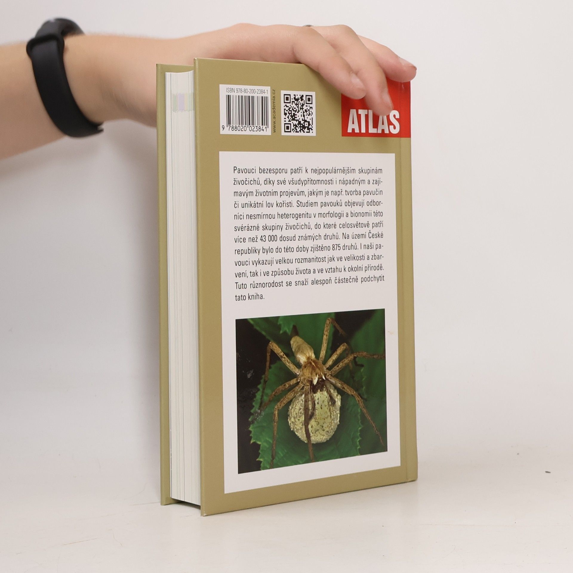 Antonín Kůrka Pavouci České republiky