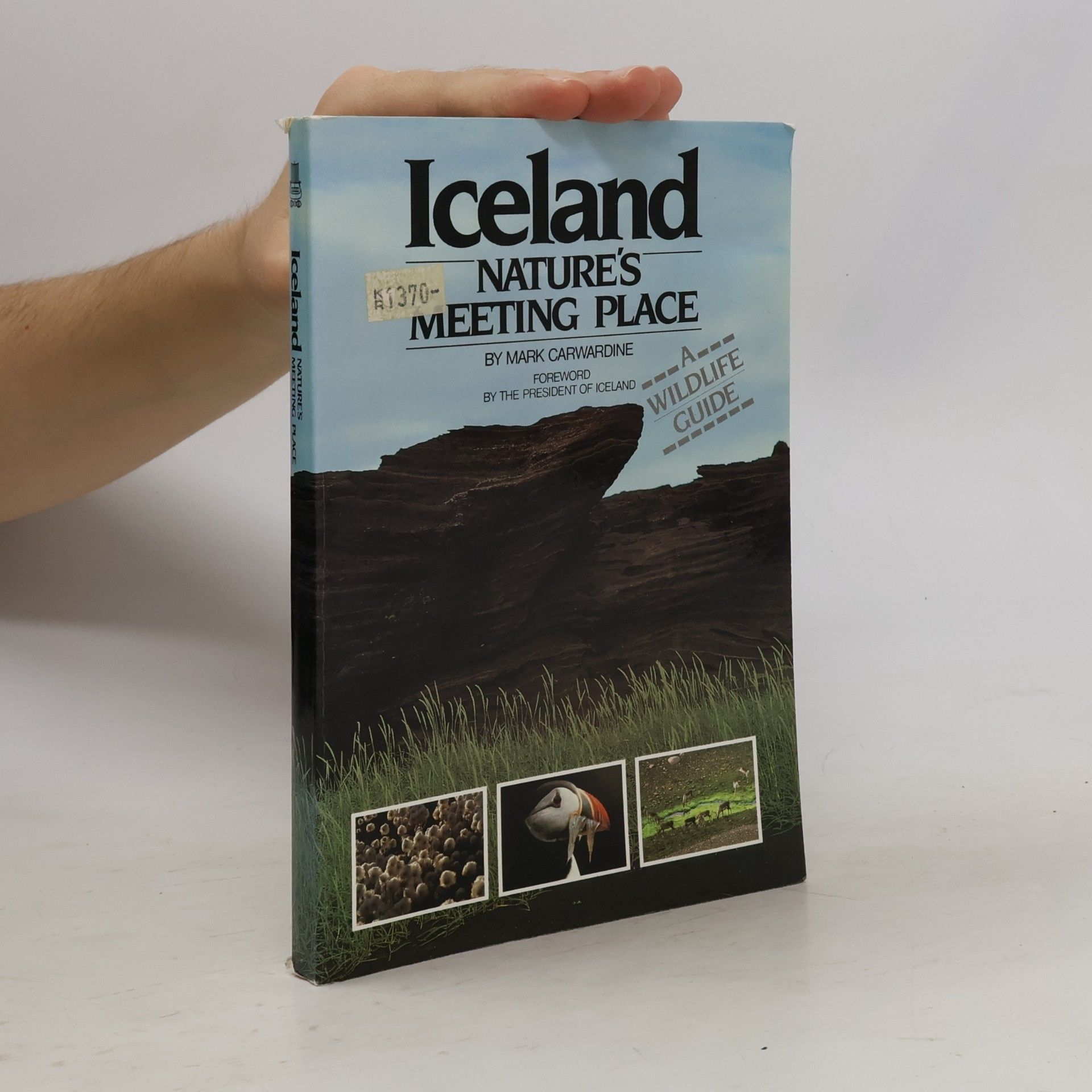 Fanney Valgardsdóttir Iceland