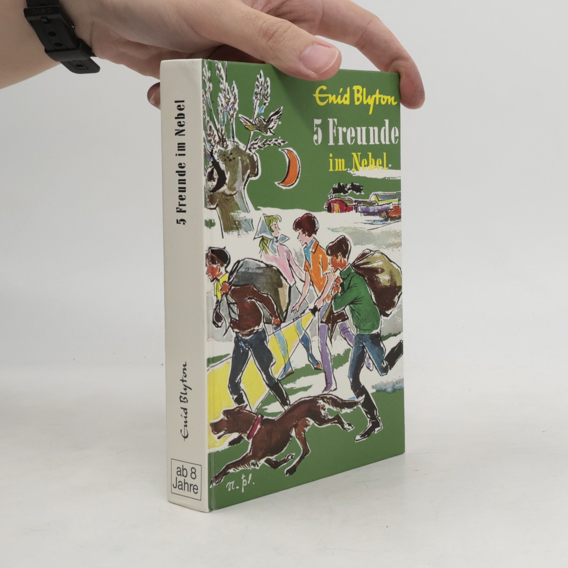 Enid Blyton 5 Freunde im Nebel