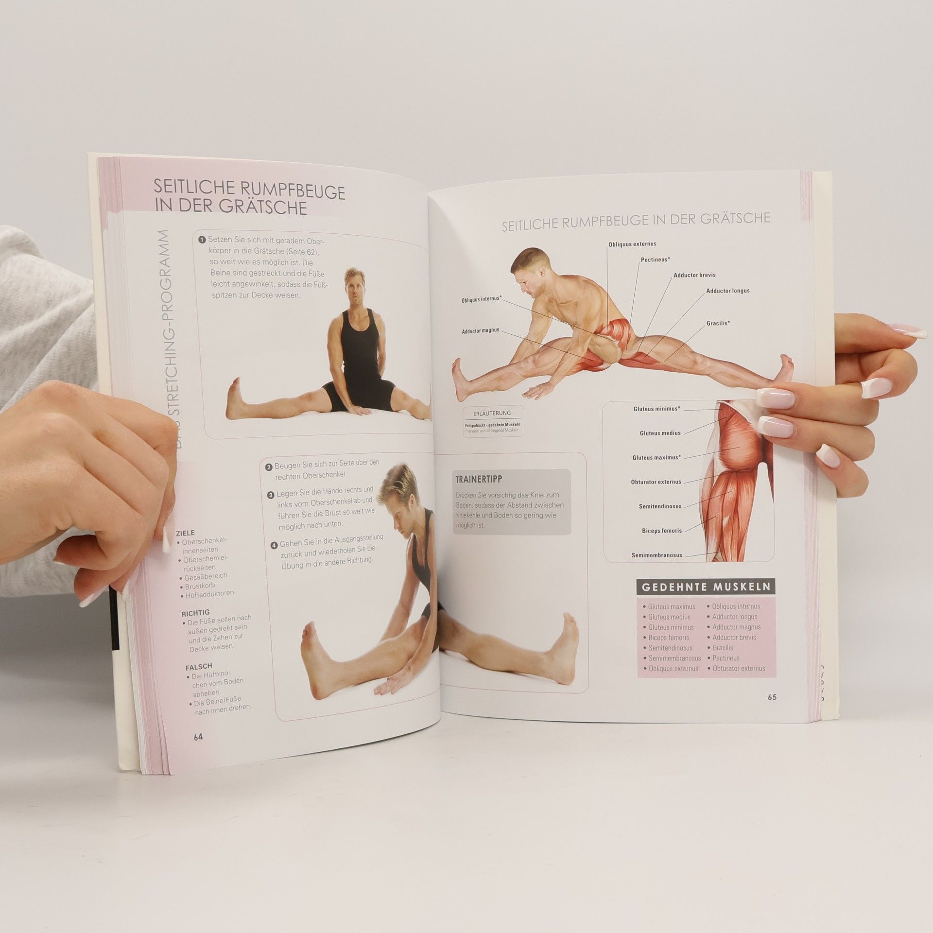 Craig Ramsay Der Stretching-Anatomie-Guide