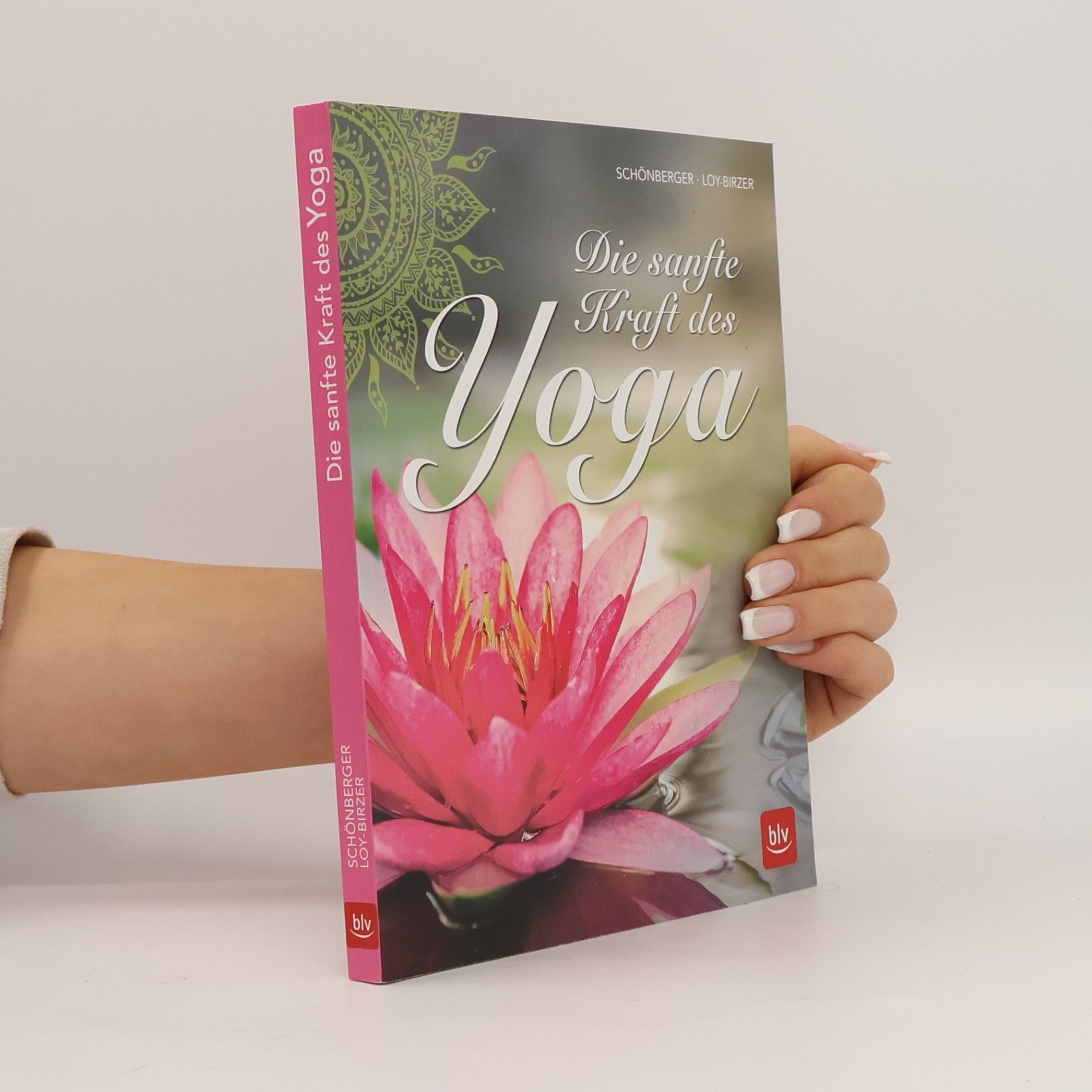 Stephanie Schönberger Die sanfte Kraft des Yoga