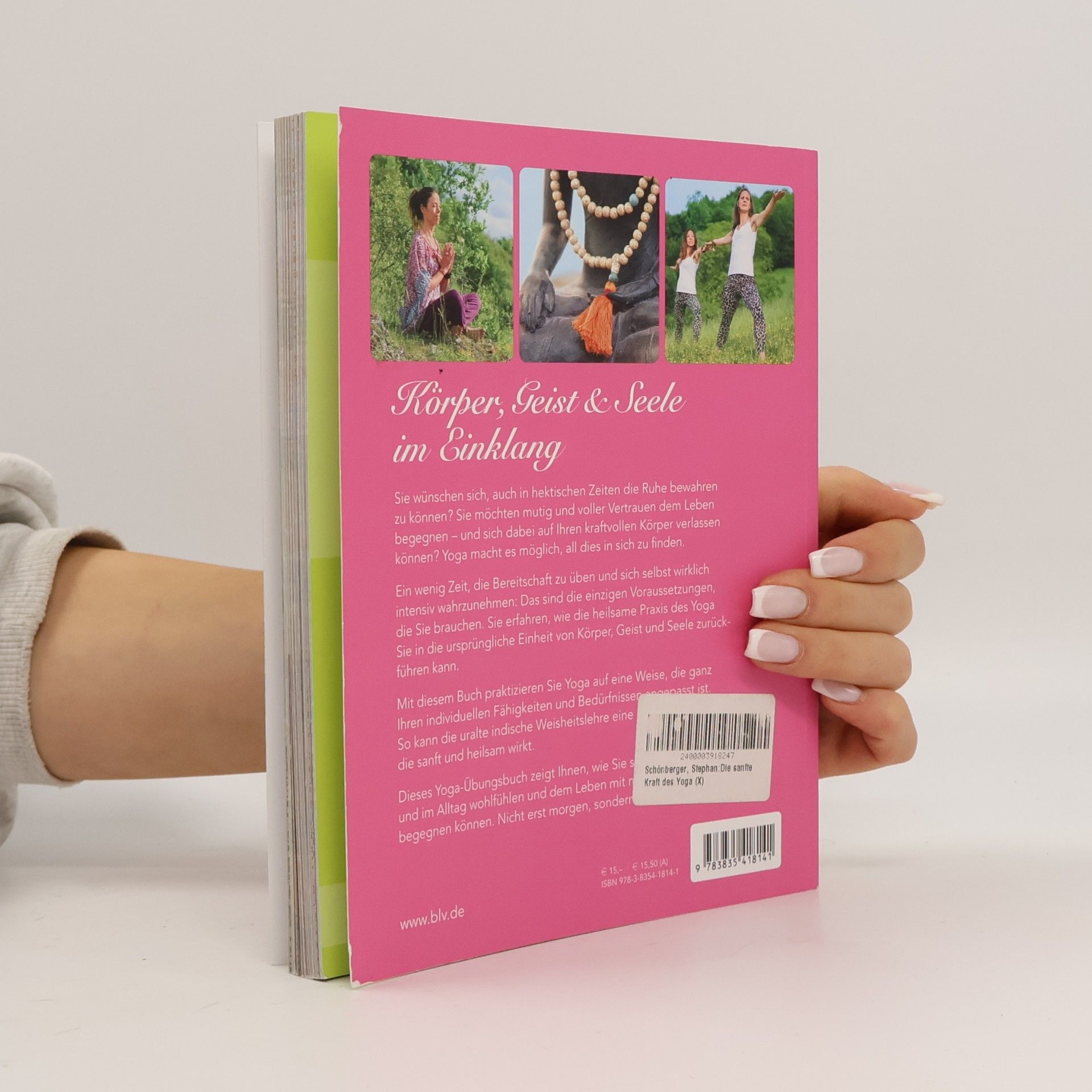 Christina Loy Birzer Die sanfte Kraft des Yoga