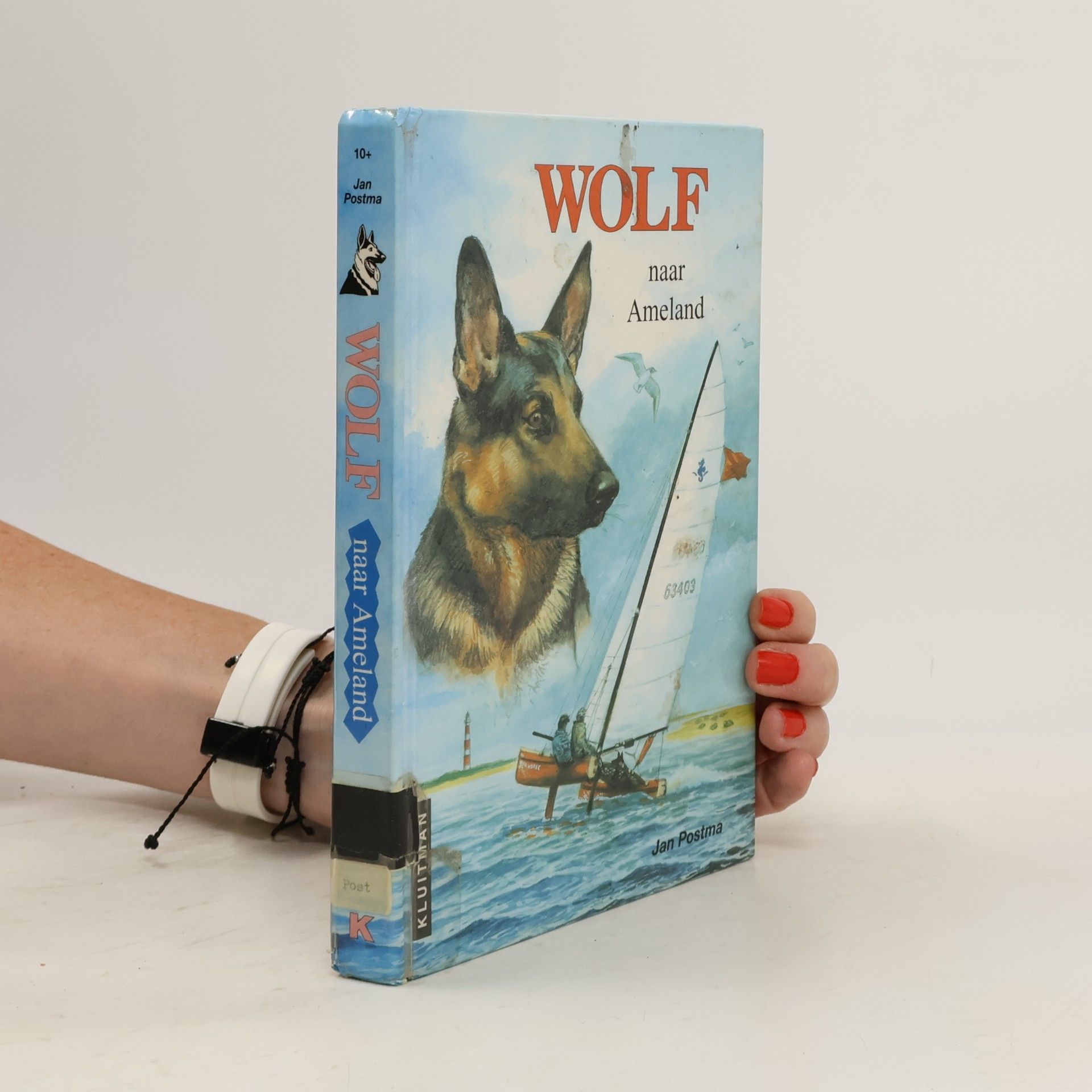 Wolf naar Ameland