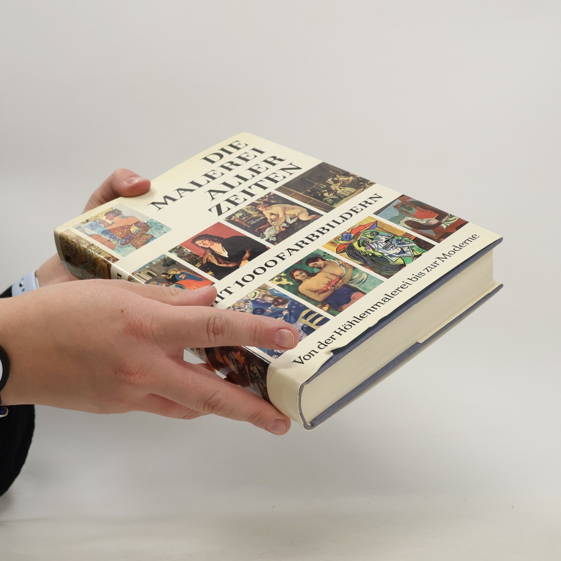 Autorenkollektiv Die Malerei aller Zeiten