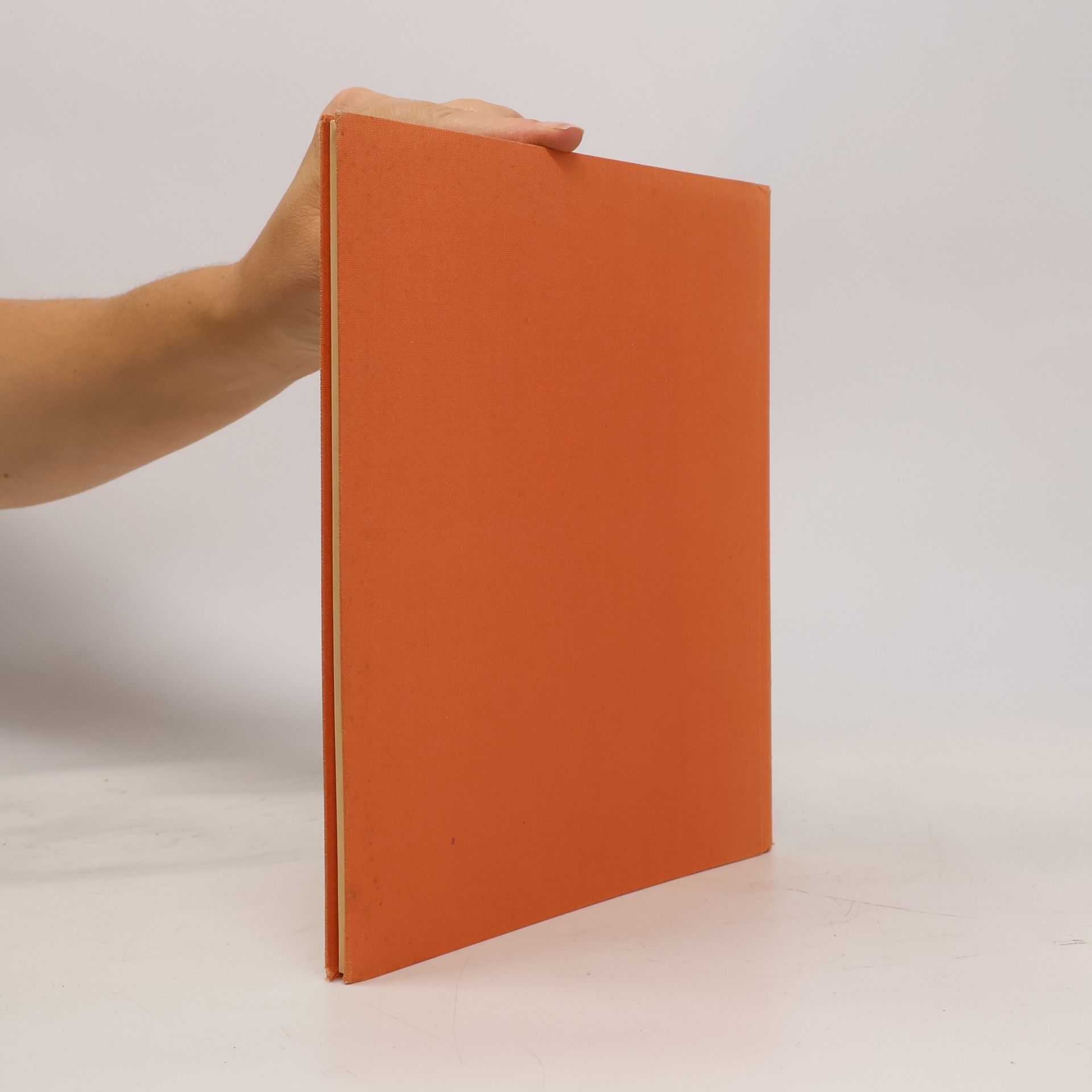 Rembrandts Das Buch Tobias