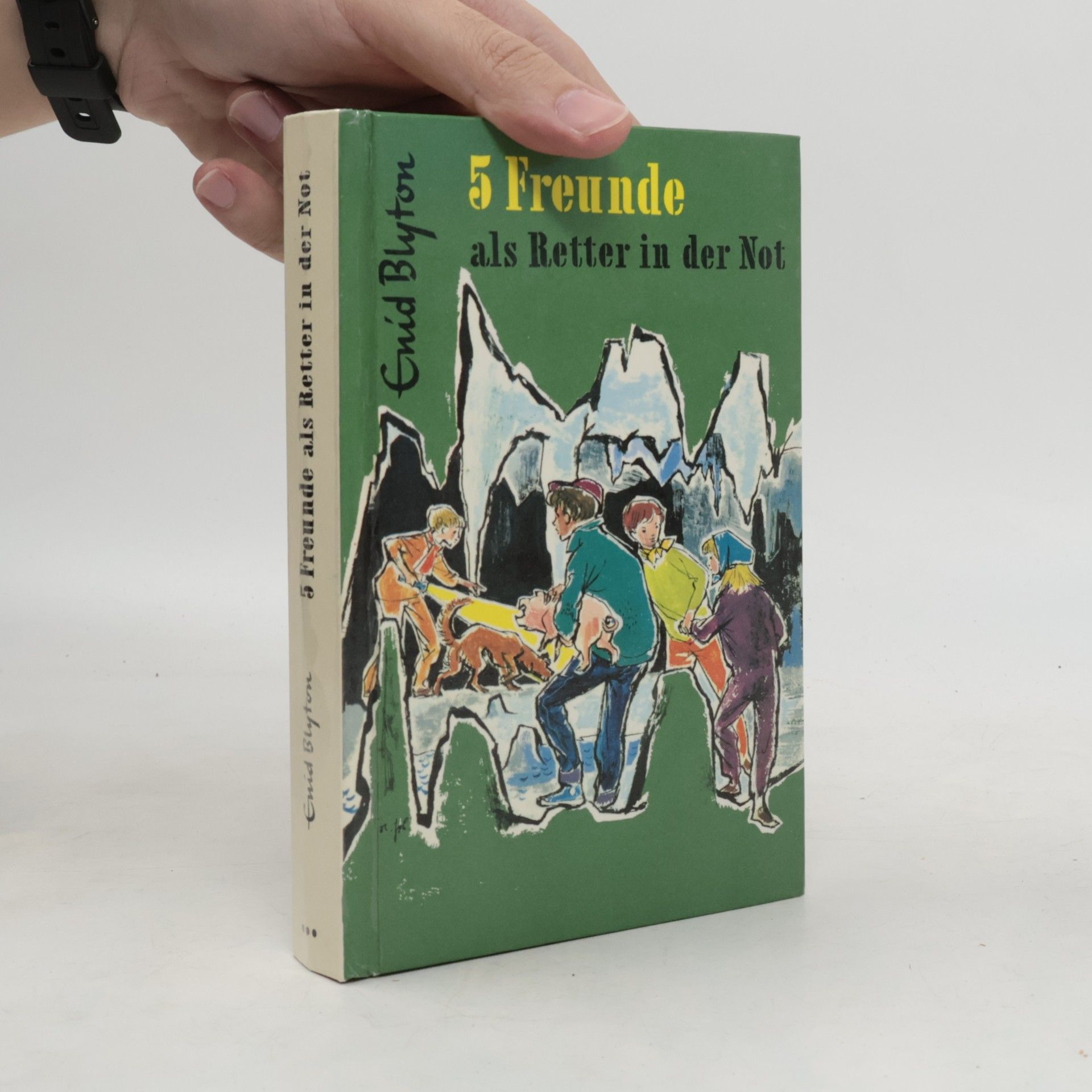 Enid Blyton 5 Freunde als Retter in der Not