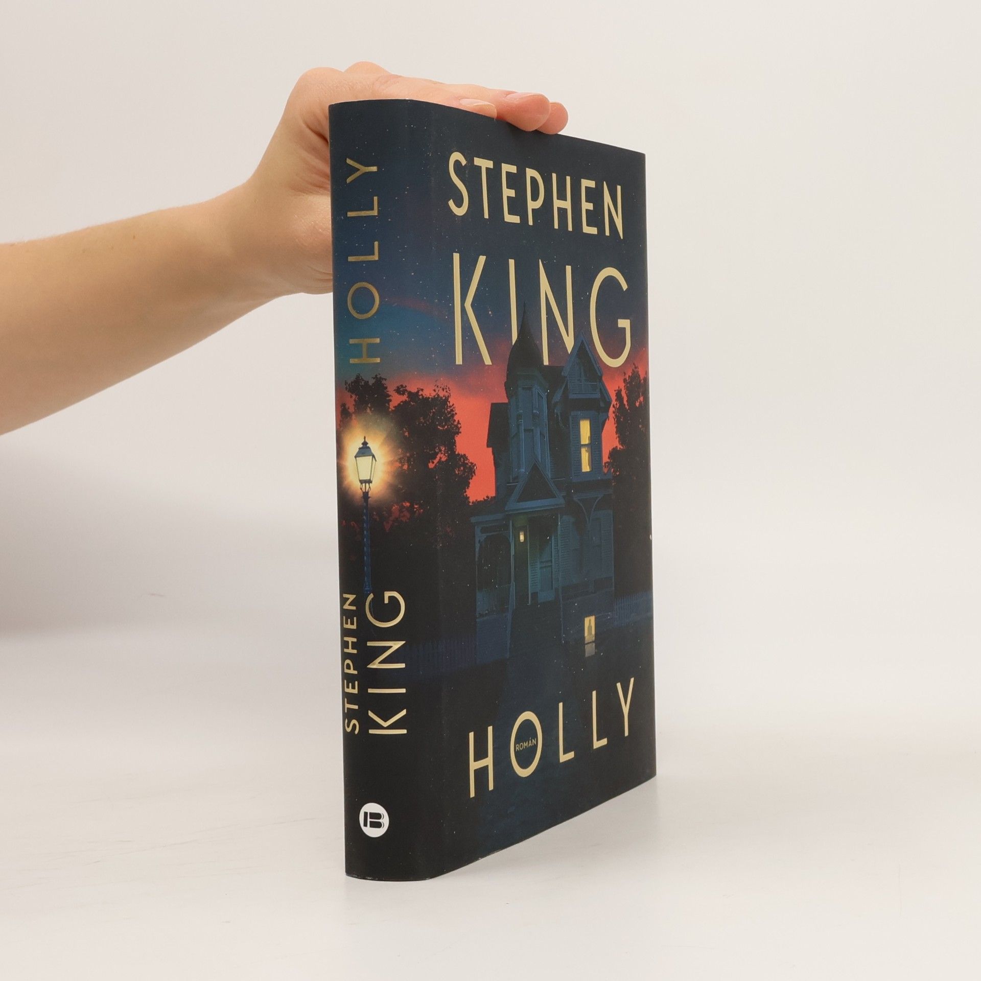 Stephen King Holly