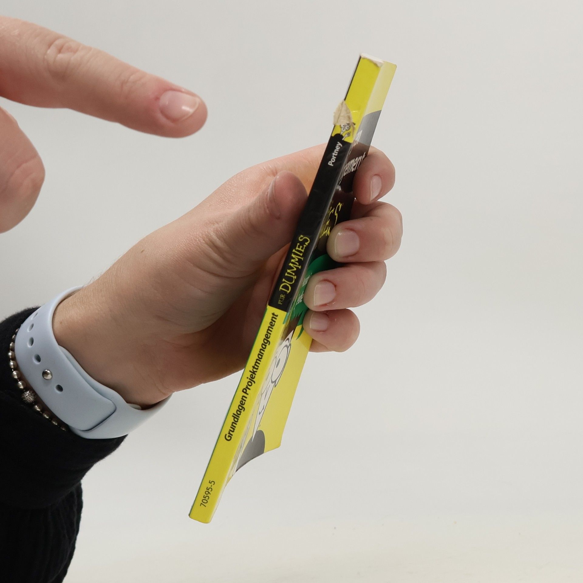 Stanley E. Portny Grundlagen Projektmanagement für Dummies