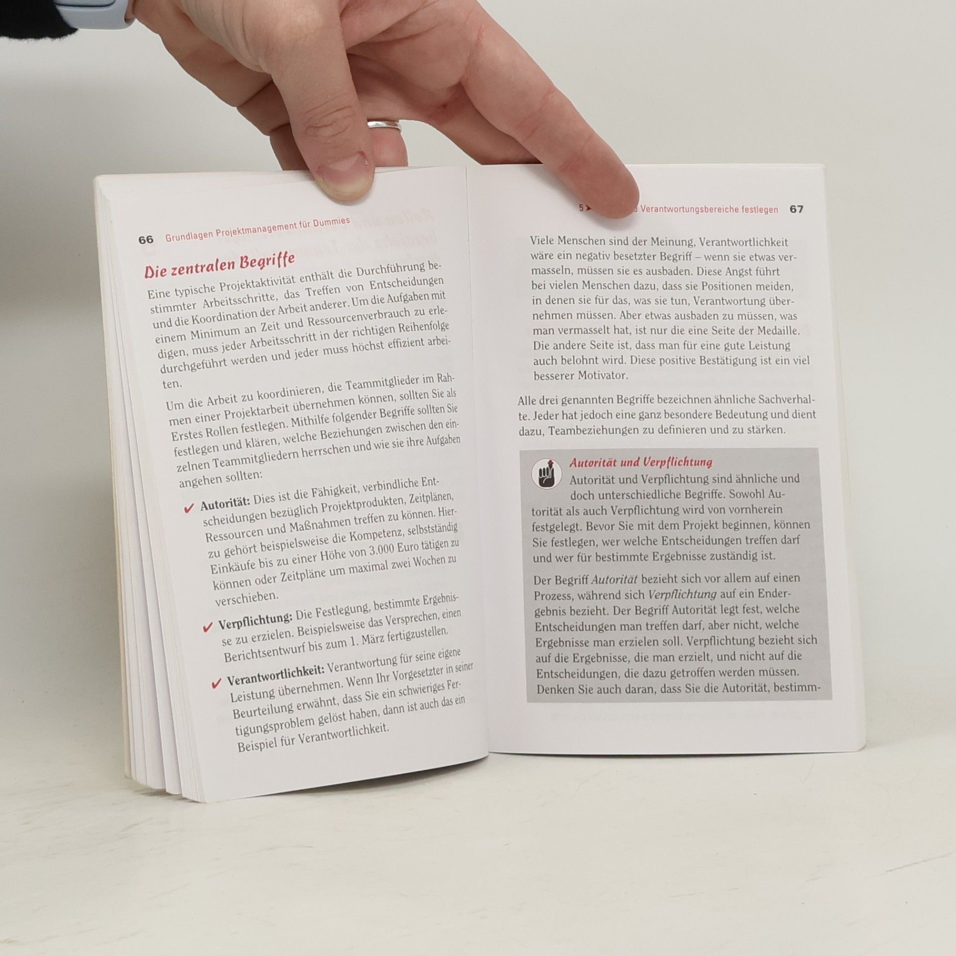 Stanley E. Portny Grundlagen Projektmanagement für Dummies