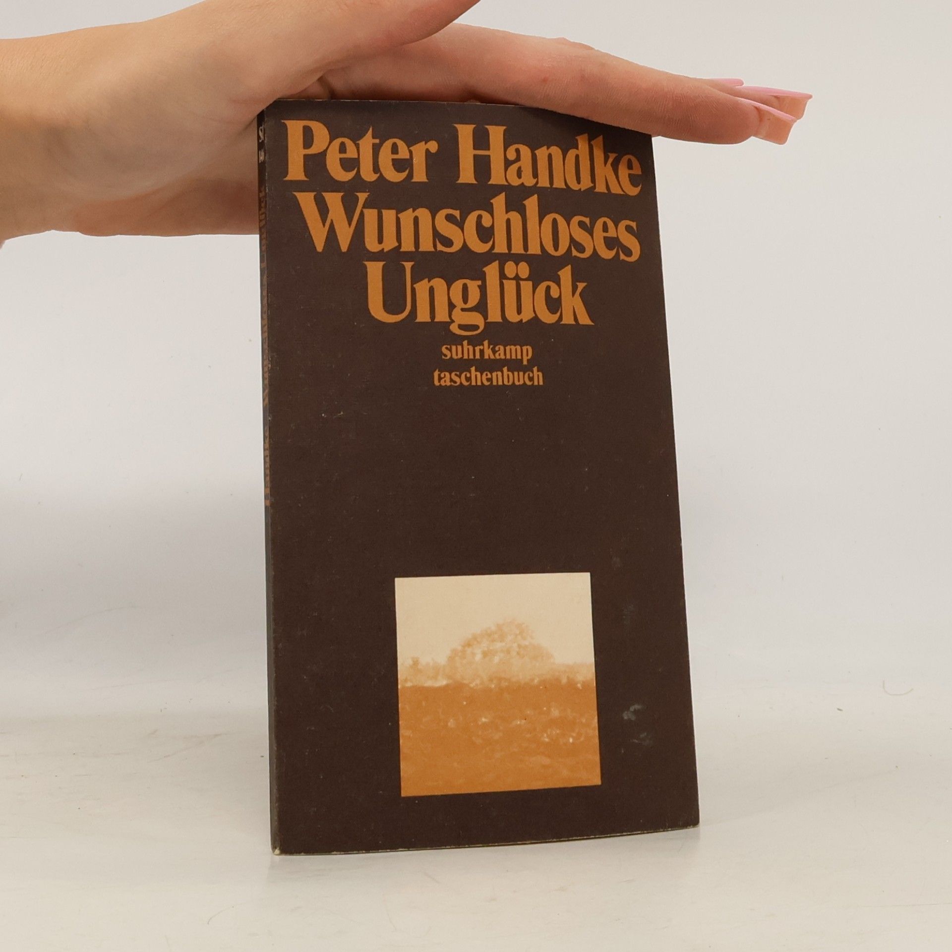 Peter Handke Wunschloses Unglück: Erzählung
