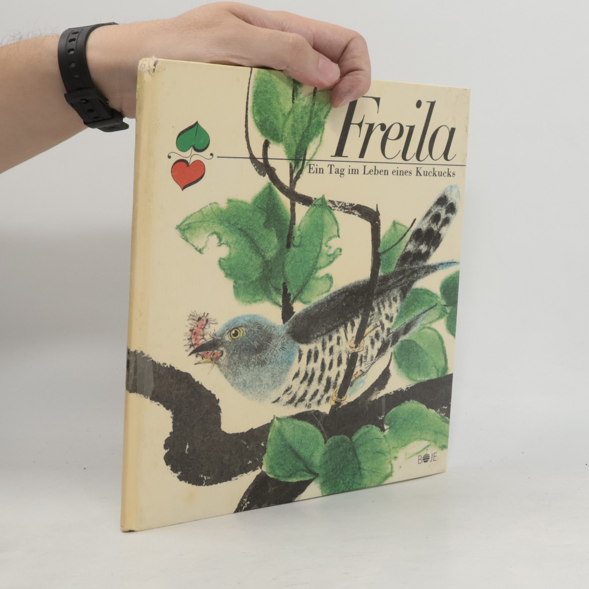 Freila. Ein Tag im Leben eines Kuckucks