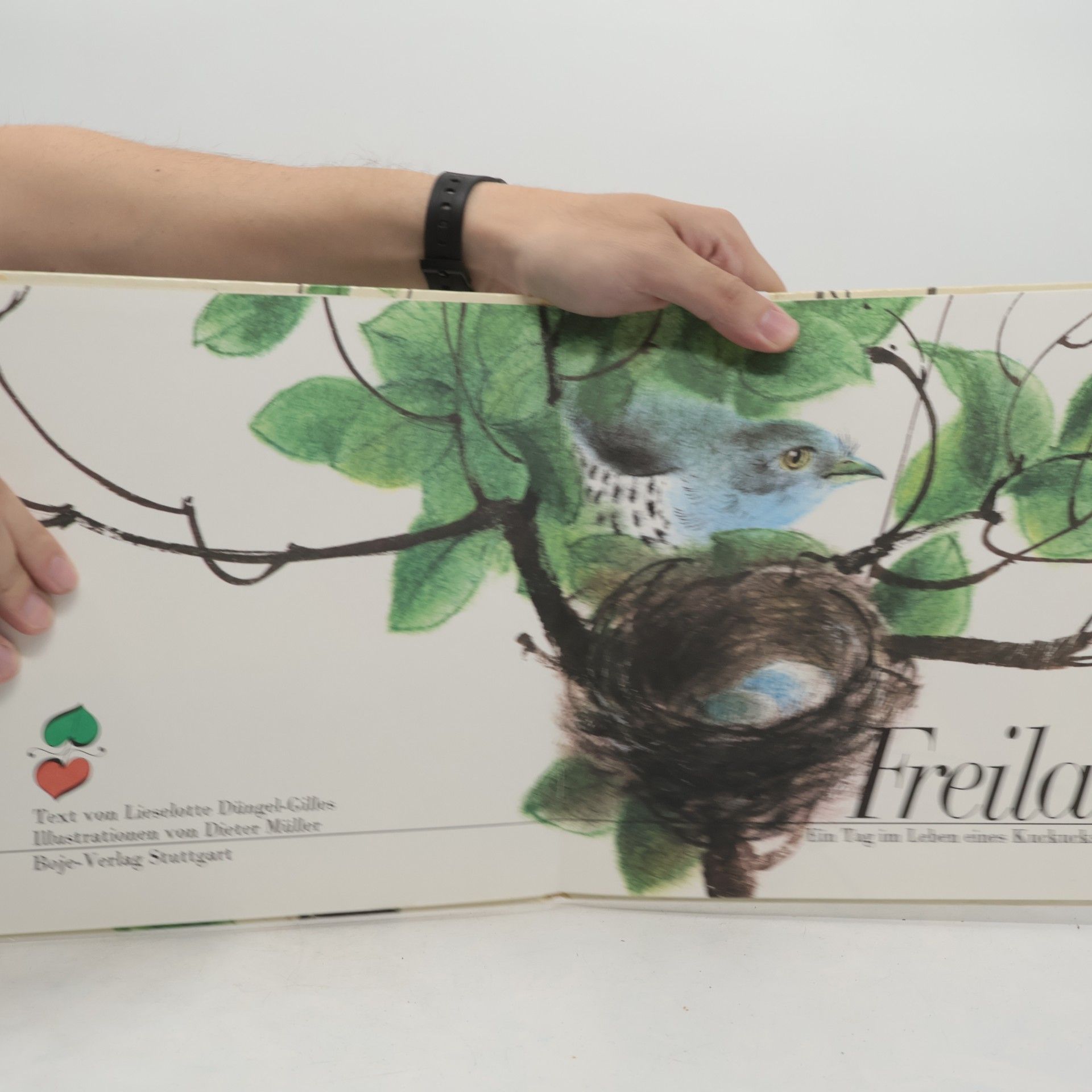 Freila. Ein Tag im Leben eines Kuckucks