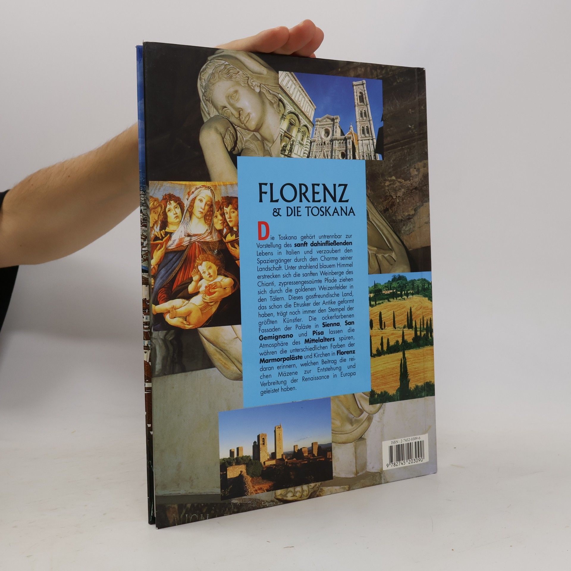 Kolektiv autorů Entdecken Sie Florenz & die Toskana